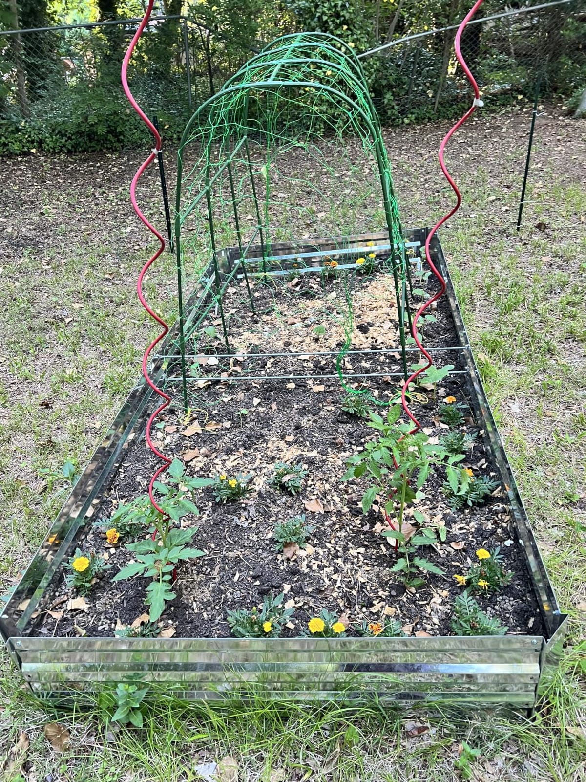 Galvalume Raised Garden Bed 8x4x1.95ft Tall Deep Planter Outdoor | 3X Anti-rust Aluminum-Zinc Steel, waist-high no-bending, 466Gal deep raised bed for root veggies & potatoes, heavy-duty customer photo 2