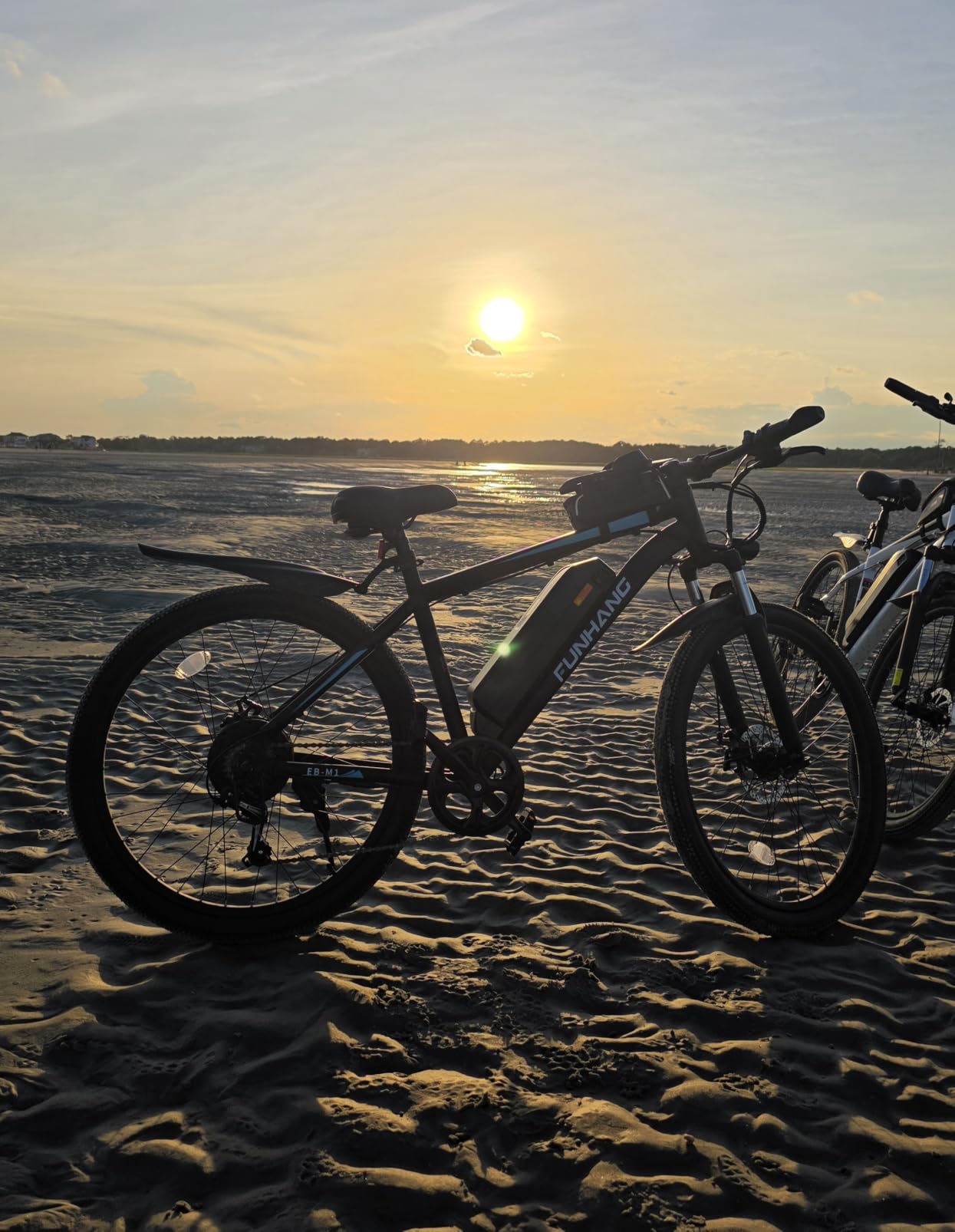 Funhang Electric Bike for Adults, 1000W Peak Ebike, 50Miles Electric Mountain Bike, 26