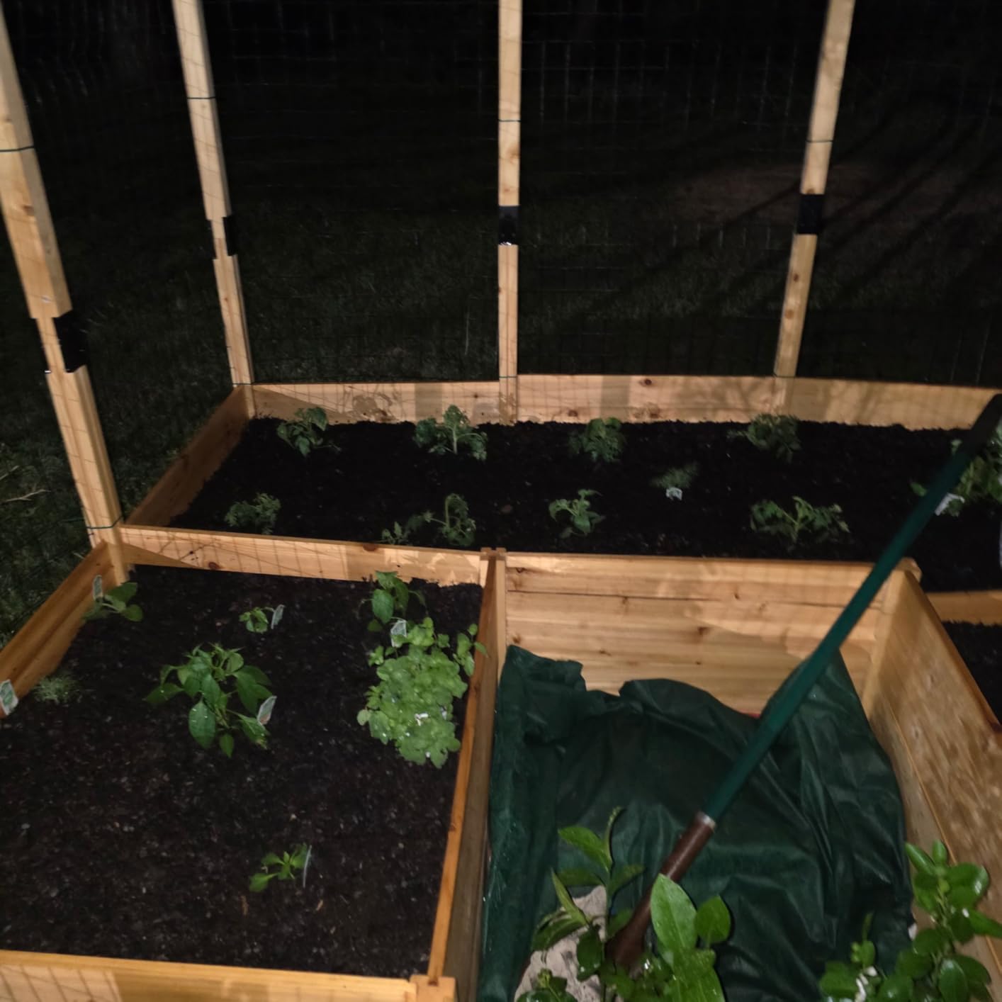 AMERLIFE U-Shape Raised Garden Bed,13 Grids Wooden Planter with Proof Fence | 7.5x17x6Ft Raised Beds for Gardening with Divided Grid Design, Lockable Door, Open Bottom, Easy Assembly for Planting customer photo 1
