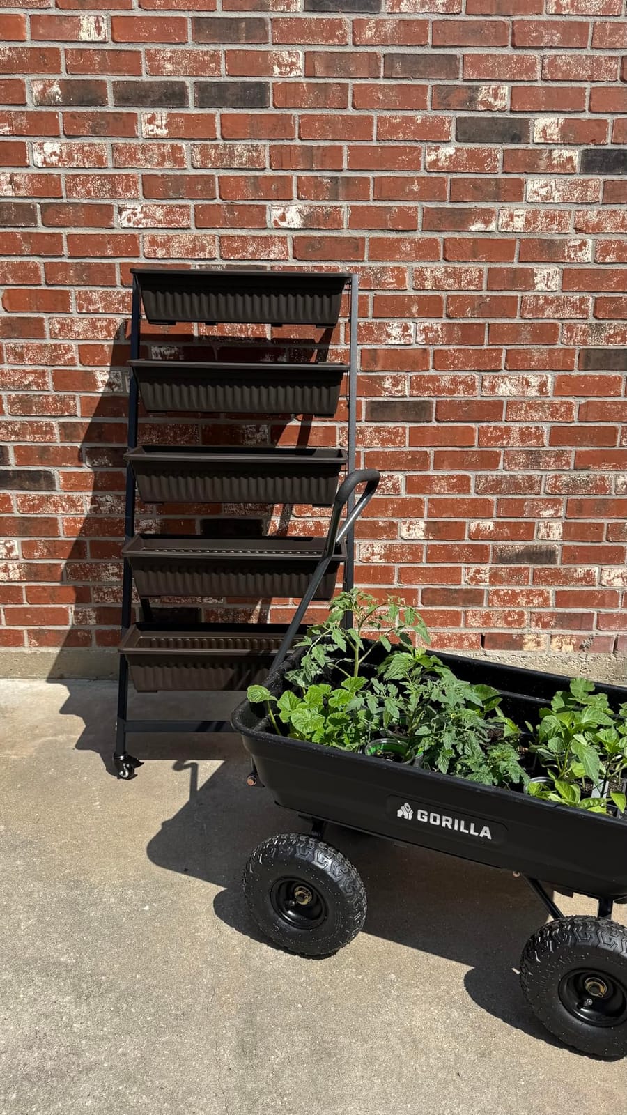 5-Tier Vertical Garden Bed Planter Boxes with Wheels, Drainage System & Storage Space, Mobile Vertical Garden Planter with 5 S-Hooks for Plants Vegetables Flowers Herbs in Garden Patio Yard customer photo 1