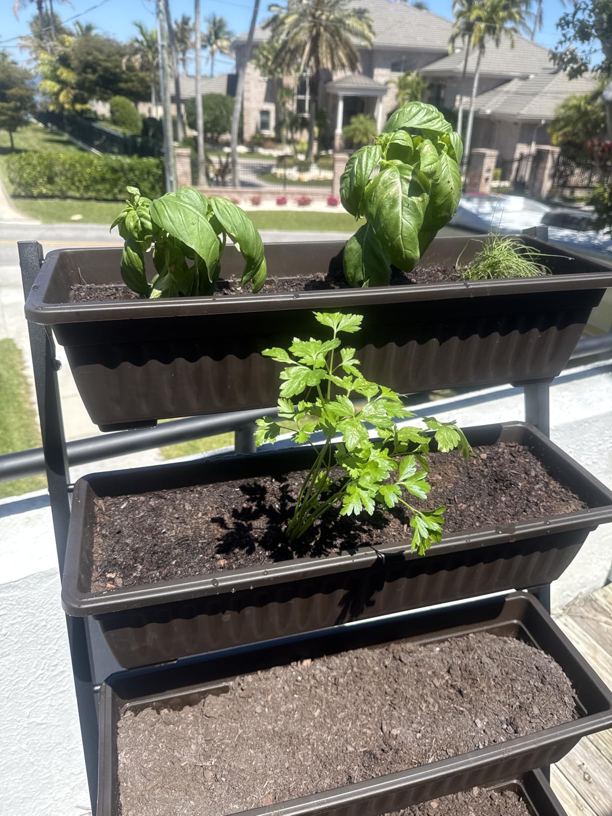 5-Tier Vertical Garden Bed Planter Boxes with Wheels, Drainage System & Storage Space, Mobile Vertical Garden Planter with 5 S-Hooks for Plants Vegetables Flowers Herbs in Garden Patio Yard customer photo 2