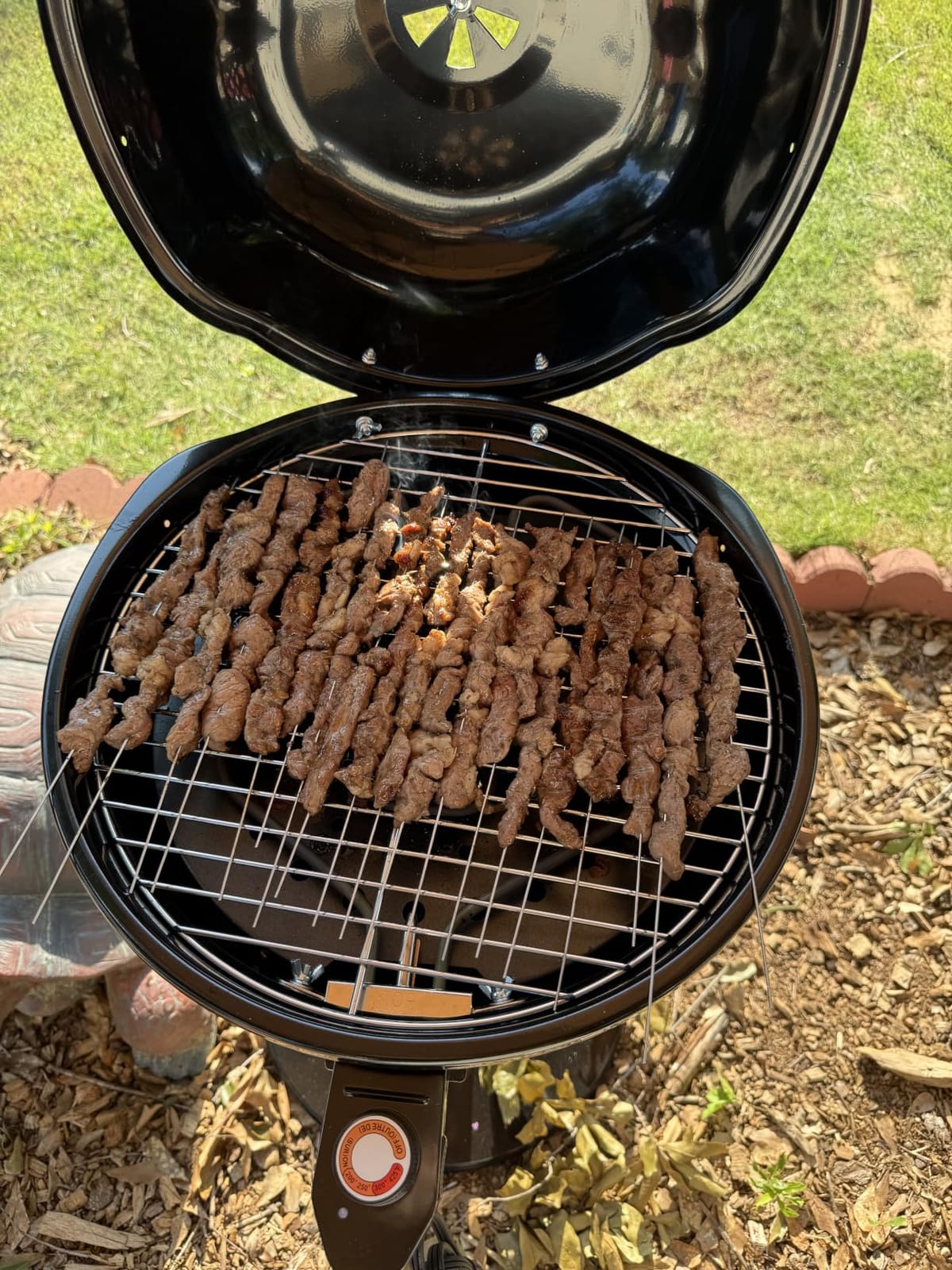 Electric Grill Outdoor, CUSIMAX Electric BBQ Grill, Portable BBQ with Lid | For Cookouts, BBQ Gatherings, Small Spaces, Adjustable Heat, Double Layer Design, Removable Stand Grill, Oil Collector, 1600W customer photo 2