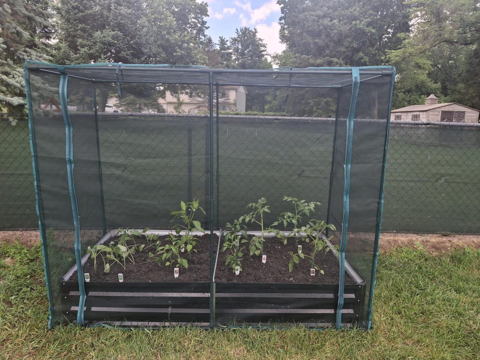 SUNYRISY Galvanized Raised Garden Bed with Crop Cage | Outdoor Metal Planter Box with Plant Protection Netting, Garden Box for Gardening Vegetables Flowers Herbs Planting, Black customer photo 2