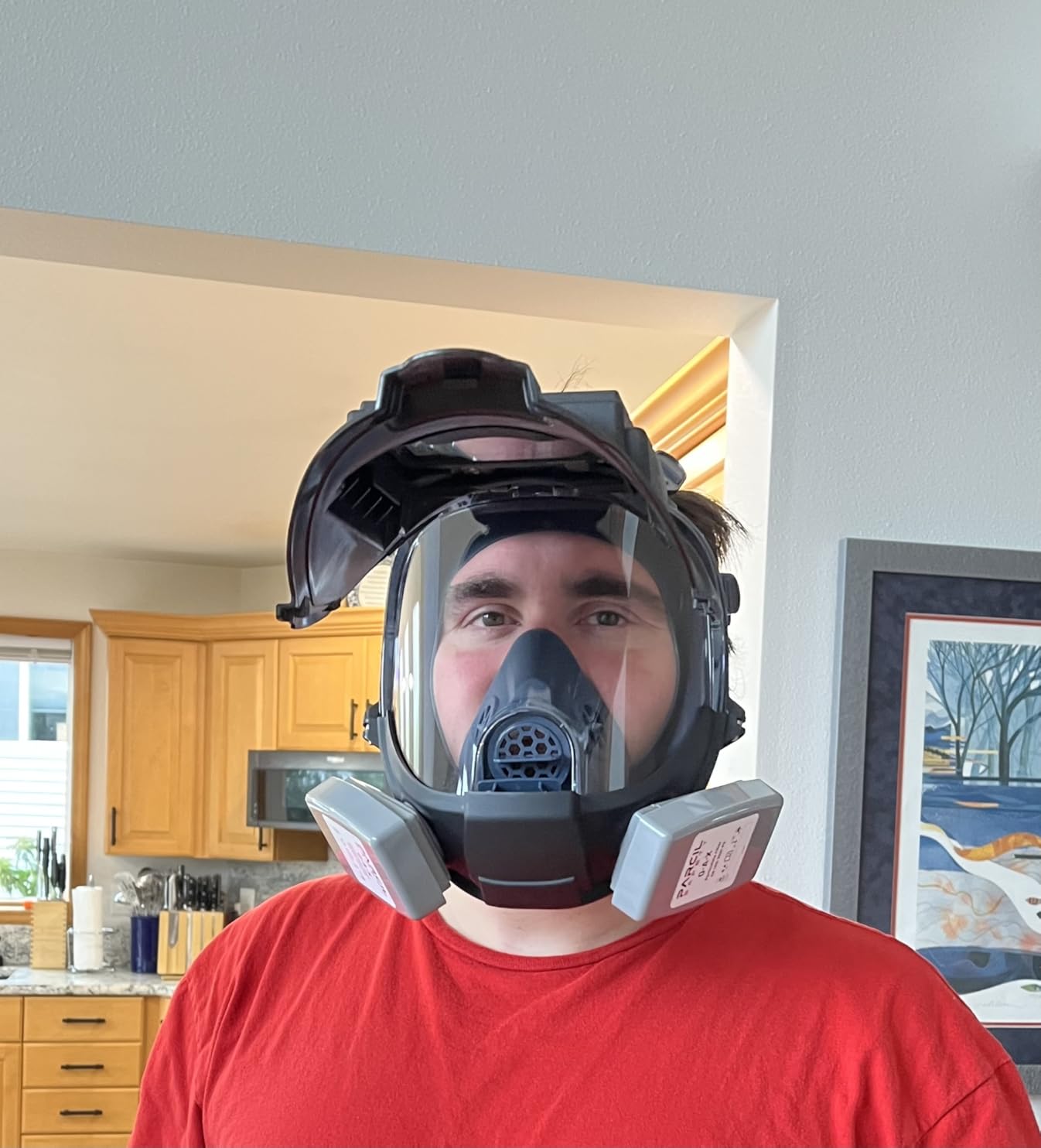 Parcil Distribution WF-101 Auto-Darkening Full Face Welding Respirator Mask customer photo 1