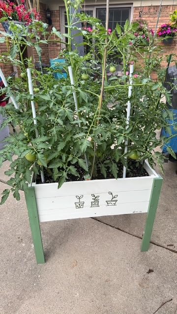 Raised Garden Bed for Kids - 30