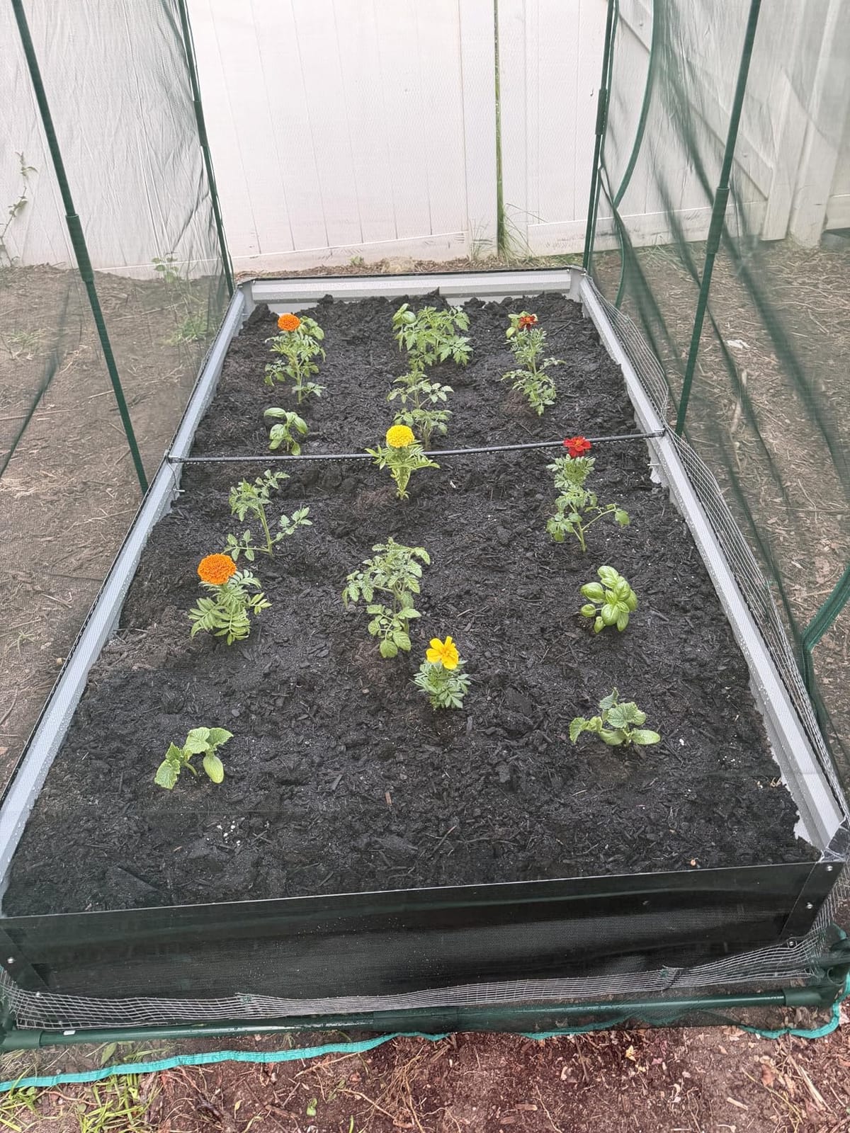 Galvanized Raised Garden Bed with Crop Cage Plant Protection Net | 82.7