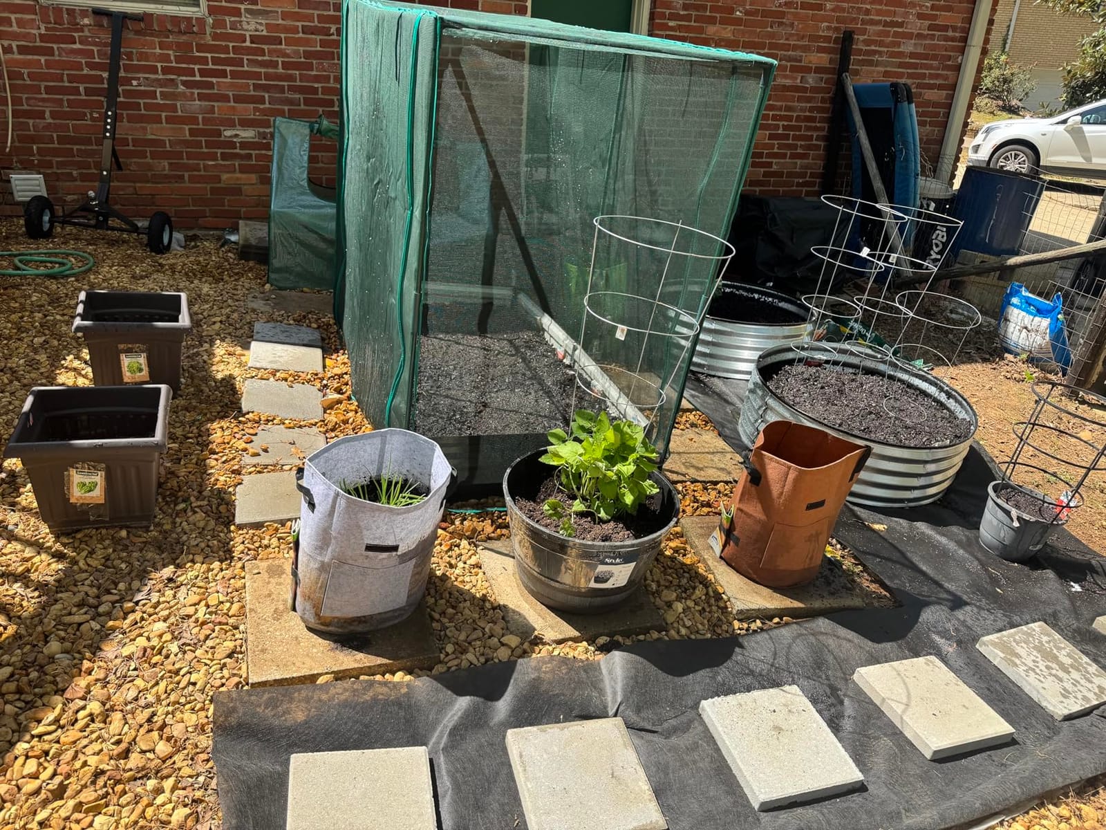 DoCred Crop Cage with Raised Garden Bed, 84.6