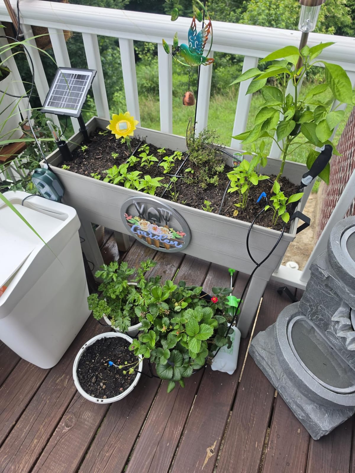 50FT Solar Automatic Drip Irrigation Kit System, Smart Self-Watering System with USB Charging for Outdoor Indoor Use, 2200mAh Automatic Watering System Supports 15 Pots for Garden, Balcony & Patio customer photo 2