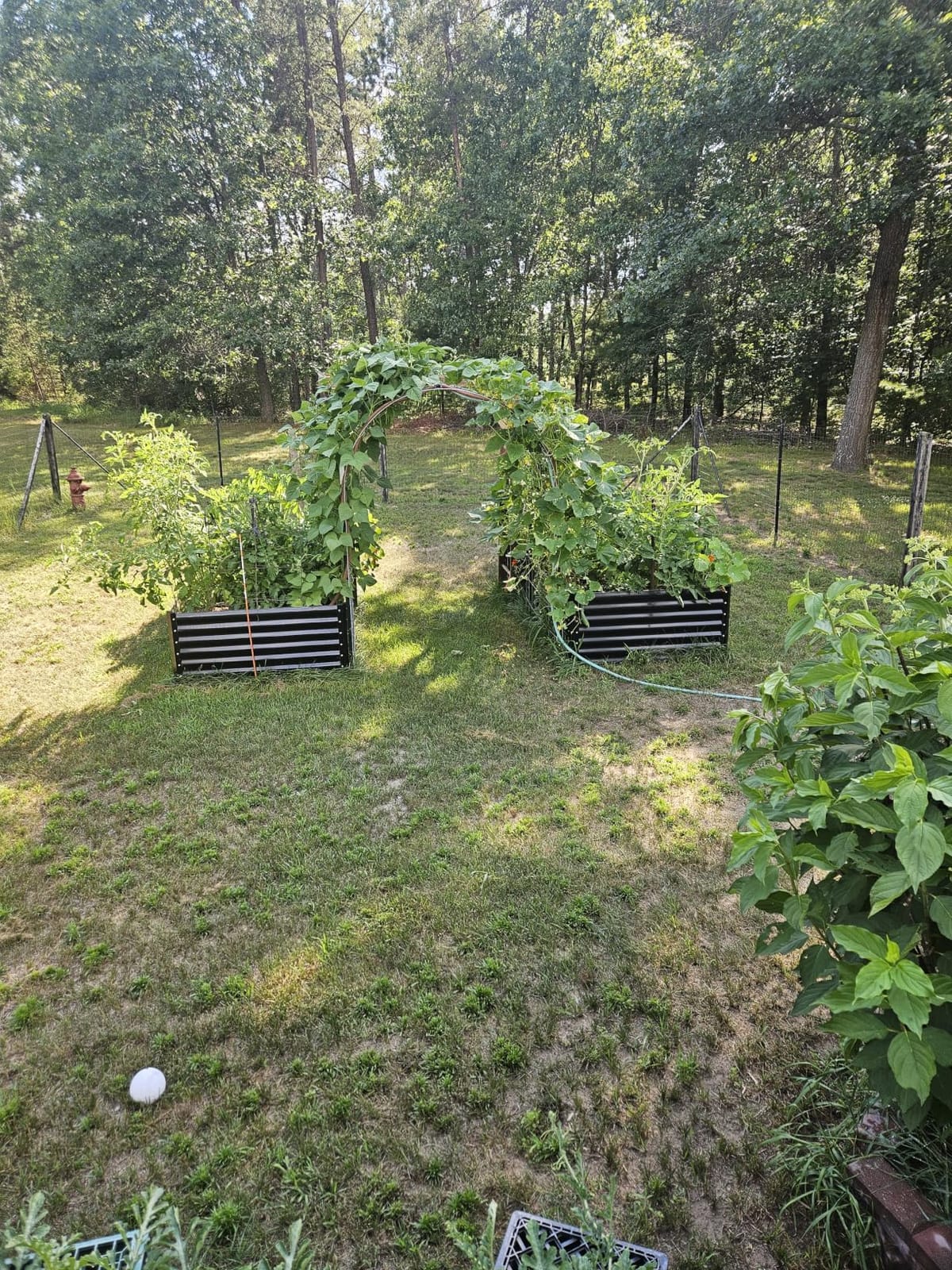 COMHOMA 2 Pack Raised Garden Bed with Legs 4x2x2.5ft,Large Elevated Galvanized Metal Planter Box with Drainage Holes,Outdoor Growing Kit with Gloves Tools for Backyard Patio Lawn,Black customer photo 2