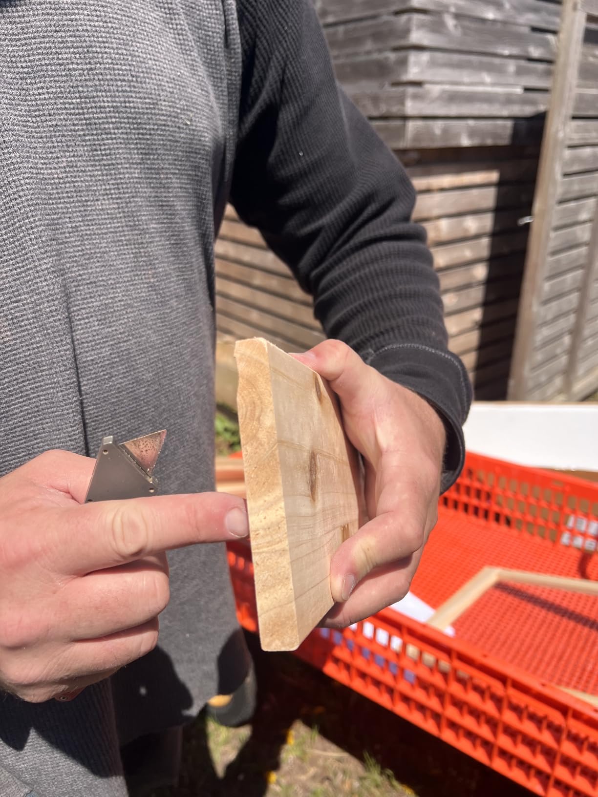 8x8 Ft Wooden Raised Garden Bed, Transformable Outdoor Planter Box with Elevated Iron Mesh, Open Base Cedar Garden Bed for Vegetables Flowers, Backyard Patio Garden,Natural customer photo 2