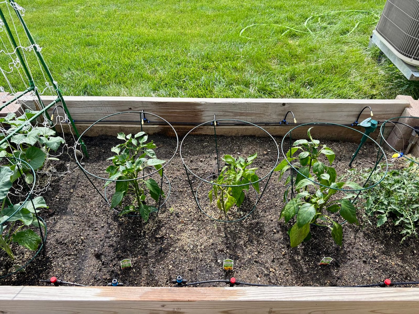 50FT Drip Irrigation System for Starter: Small Garden Quick Connect 1/4