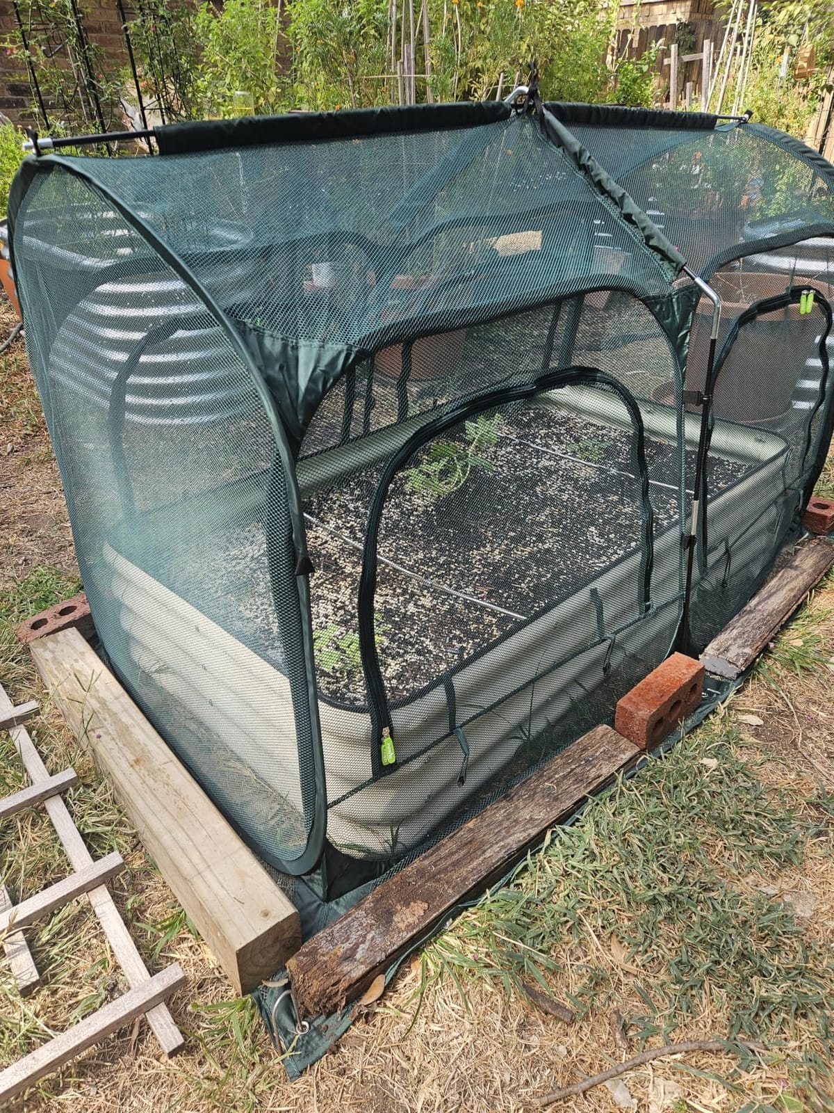 PORAYHUT All-in-One Raised Garden Bed and Crop Cage Net Kit, Metal Outdoor Planter Box with Protective Mesh Greenhouse Cover for Backyard Vegetables, Herbs, Flowers (5.25 * 2.6FT Raised Bed & NET) customer photo 2