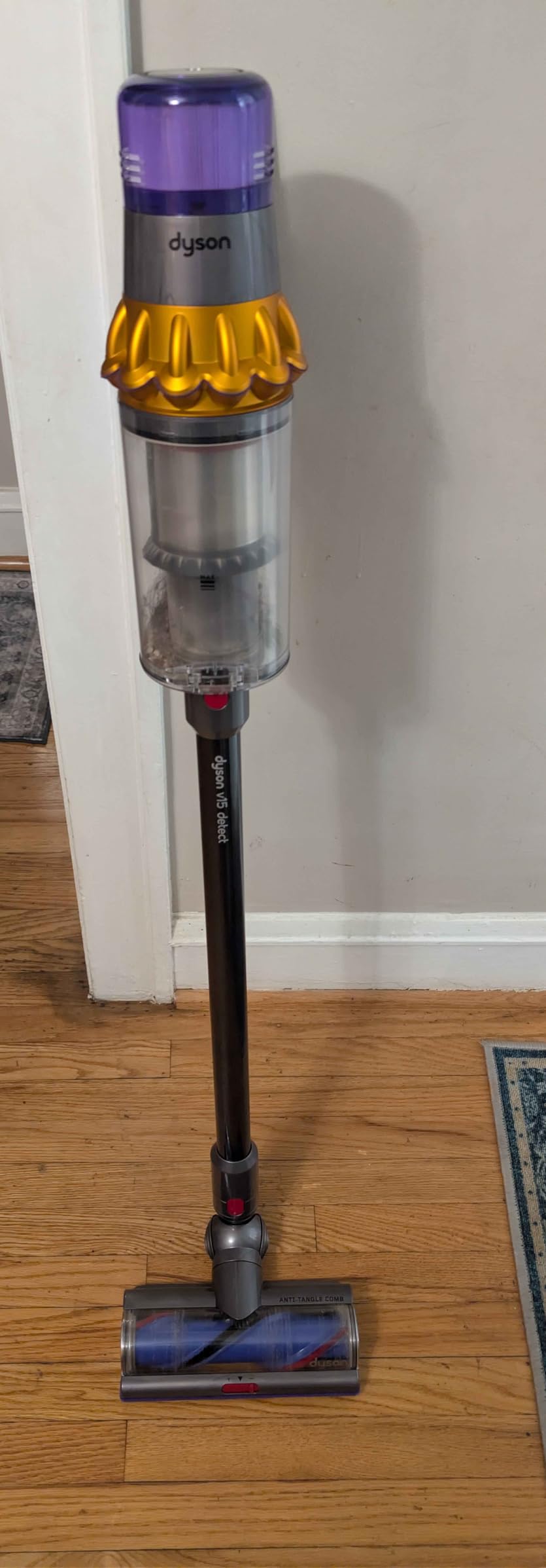 Dyson V15 Detect™ Origin Cordless Vacuum customer photo 2