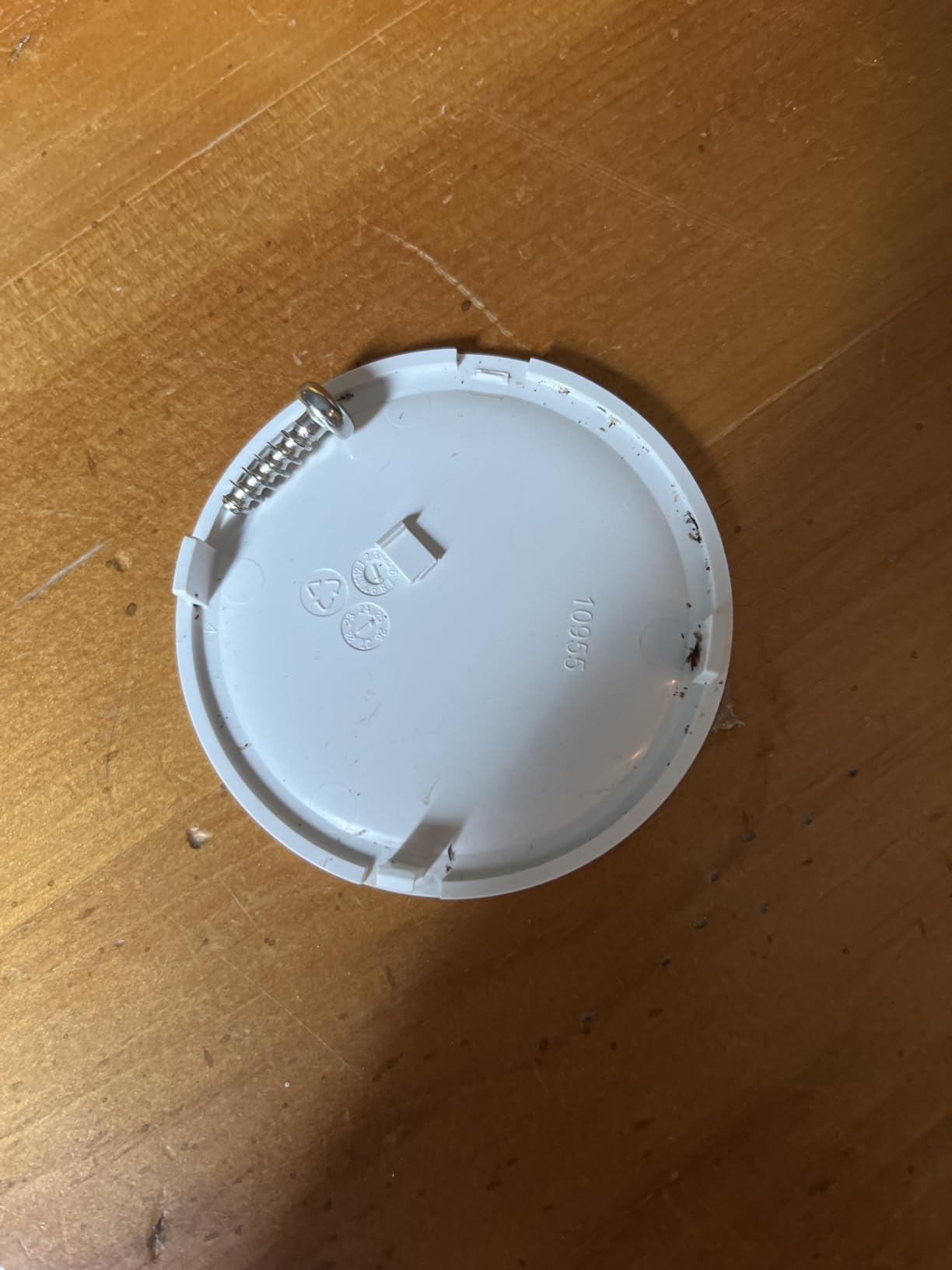 Dolphin (2026 Model) E10 Automatic Robotic Pool Vacuum Cleaner, Active Scrubber Brush, Top Load Filters Access, Ideal for Above-Ground Pools up to 30 FT in Length customer photo 1