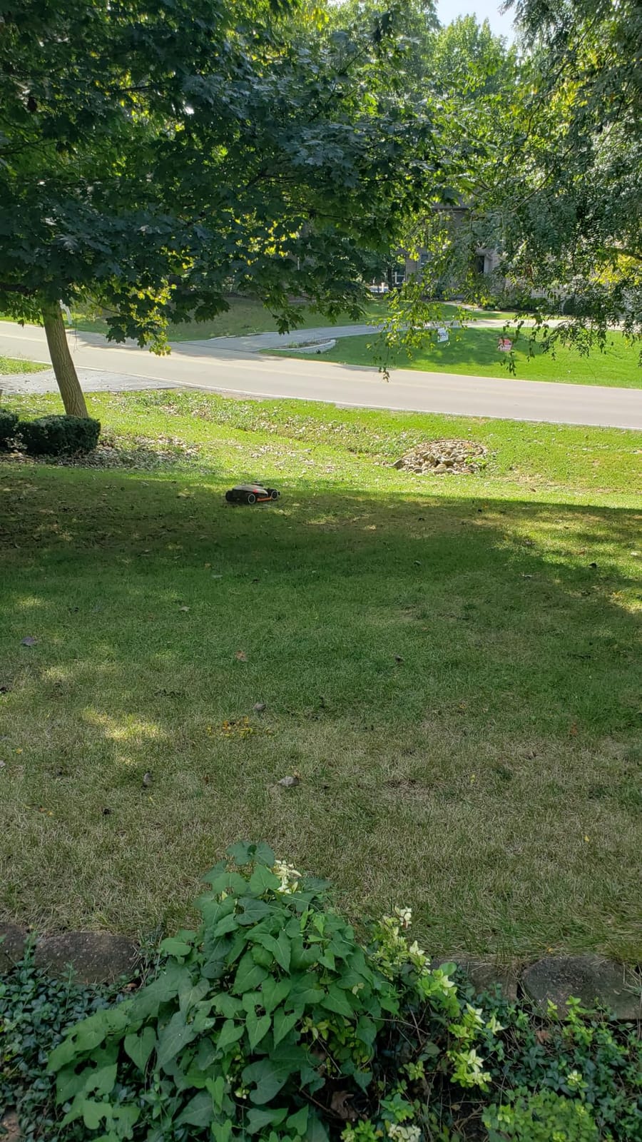 Mammotion LUBA 3 AWD 5000 Robot Lawn Mower, 1.25 Acres, AWD for 80% Slopes customer photo 1