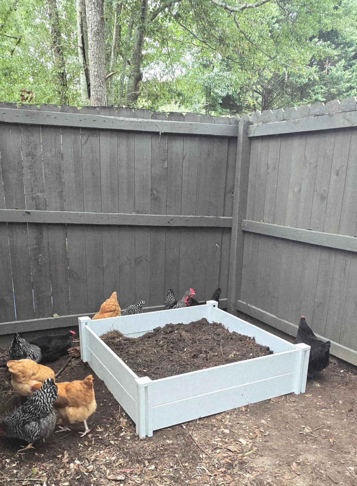 PASAMIC 8x4x1ft Vinyl Raised Garden Bed, Maintenance-Free Outdoor Garden Planter Box, Never Rust or Rot, Durable Open-Bottom Raised Bed for Vegetables, Flowers, Herbs & Fruits customer photo 1