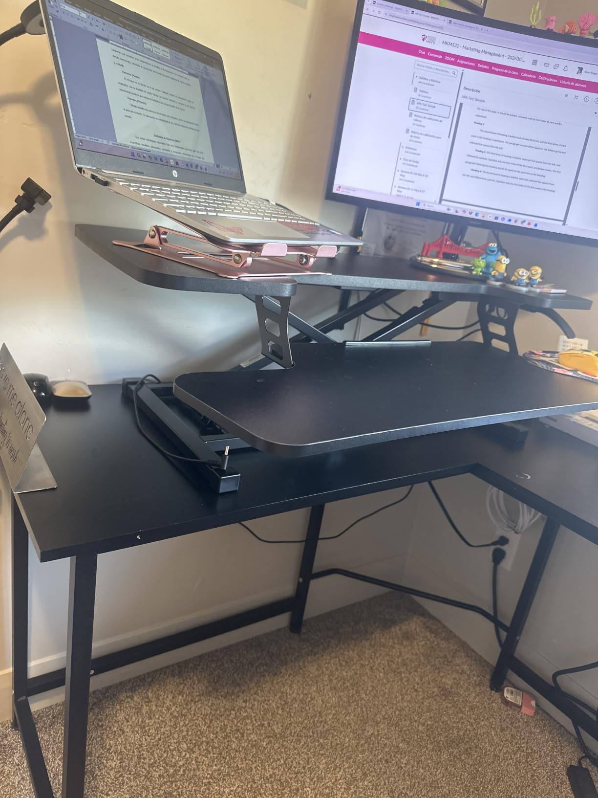 SANODESK 36