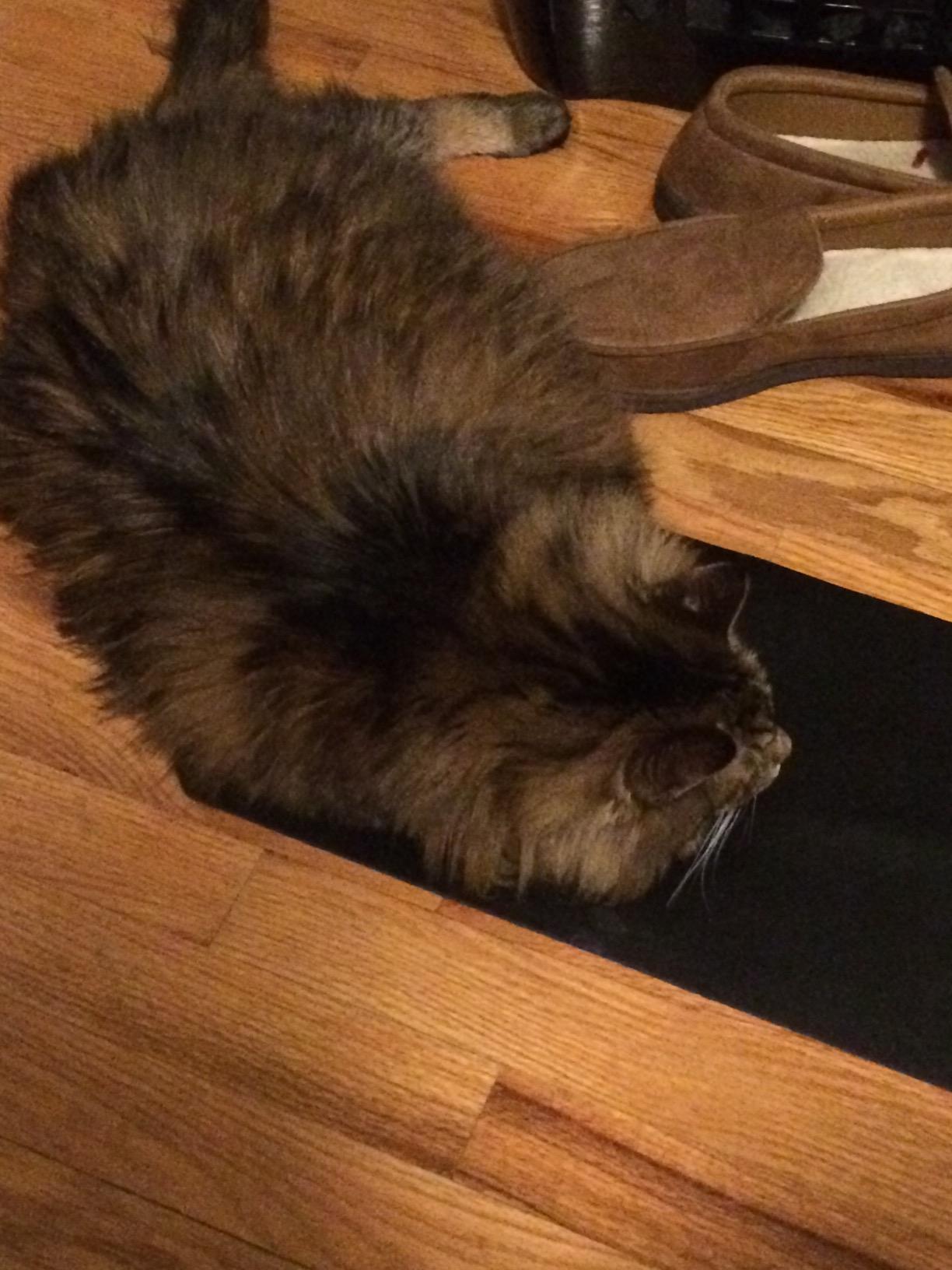 LandKissing Grounding Mat for Feet, Home & Office | Sleep Relaxation customer photo 2