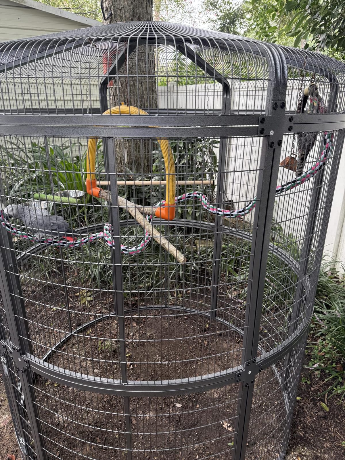 Extra Large Walk-in Round Bird Cage for Parrots, Budgies & Macaws - Outdoor Aviary with Rustproof Powder-Coated Steel, Large Door, Feeding Bowls & Beech Wood Perch, NSF Safe customer photo 2