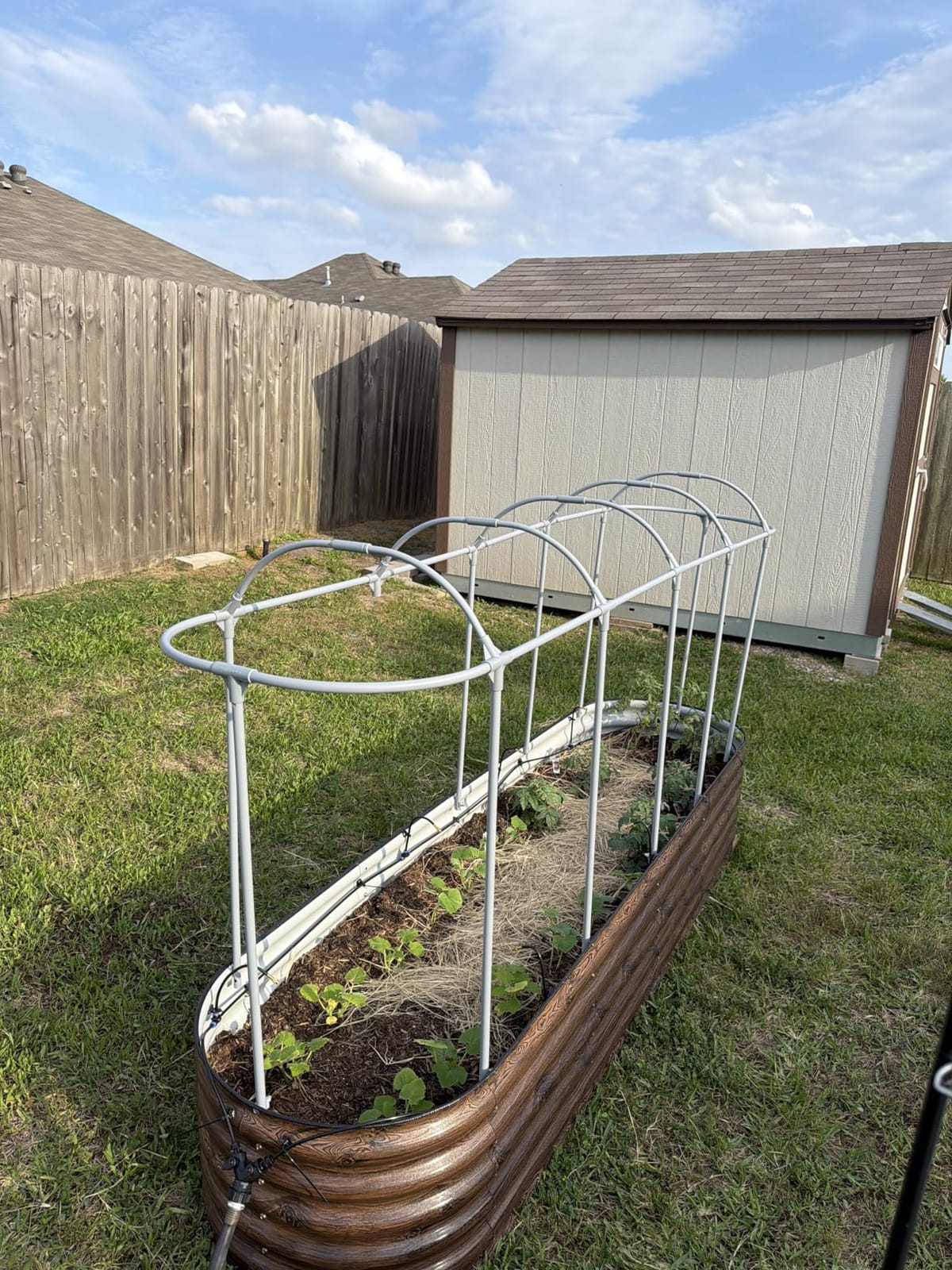 Vego garden Frost Cover System for 2.0' x 3.5' Kids Garden Bed customer photo 2