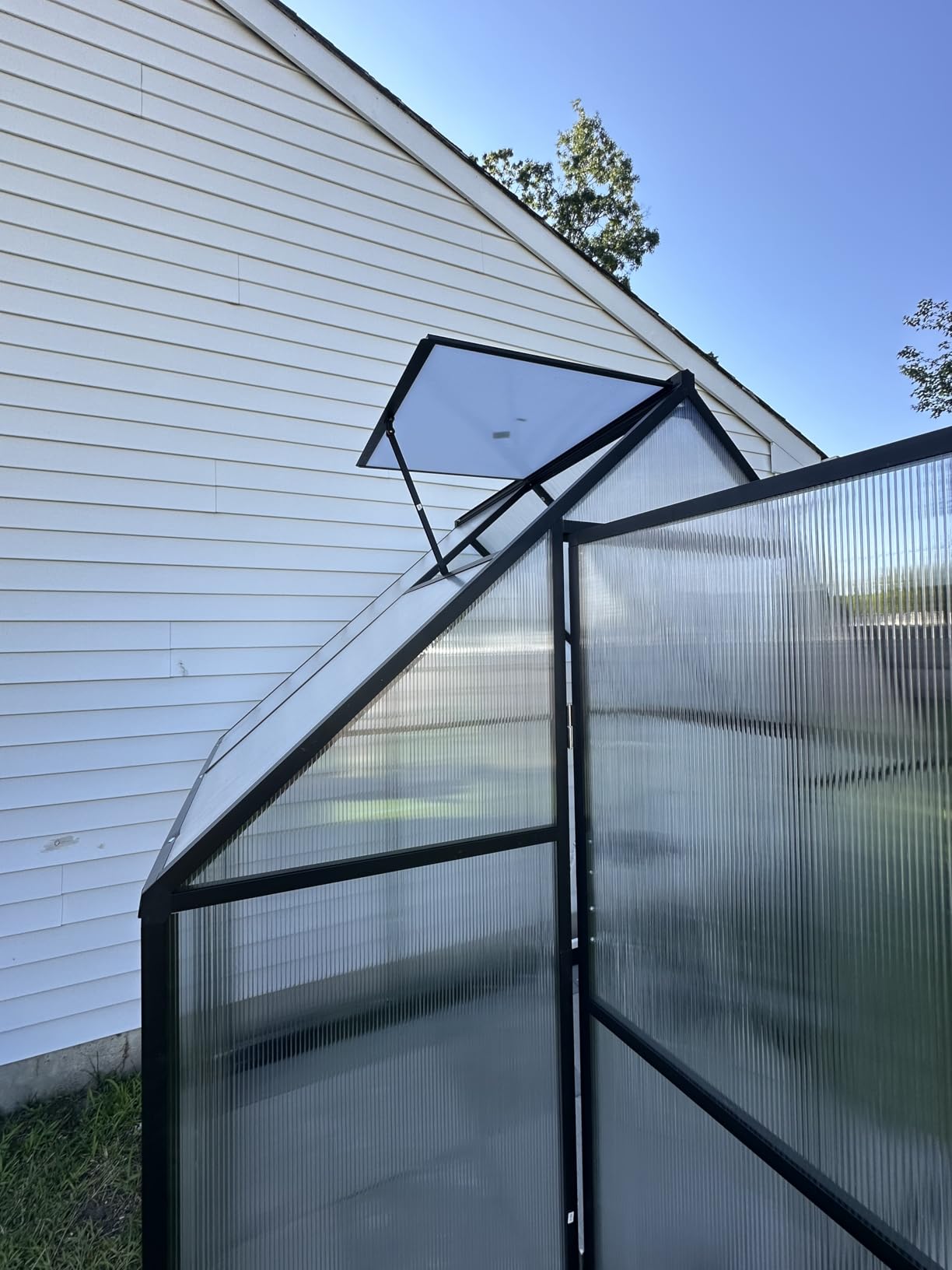 6x6 FT Walk in Greenhouse with Hygrometer, Windproof Warm Plant Green House customer photo 1