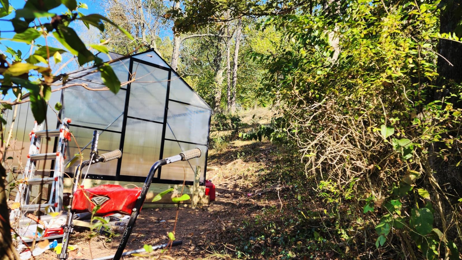 6x6 FT Walk in Greenhouse with Hygrometer, Windproof Warm Plant Green House customer photo 2