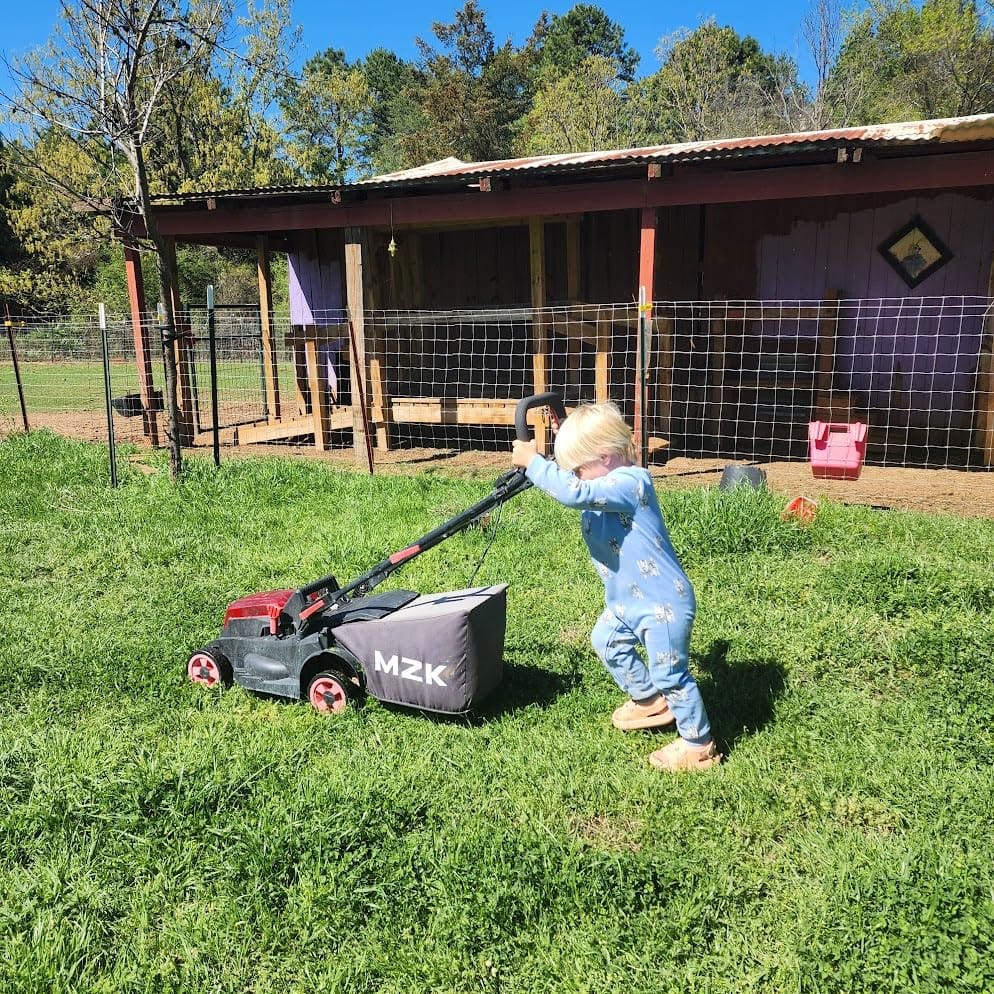 MZK 40V 16-Inch 2-in-1 Lawn Mower, Brushless Cordless Push Mower customer photo 2