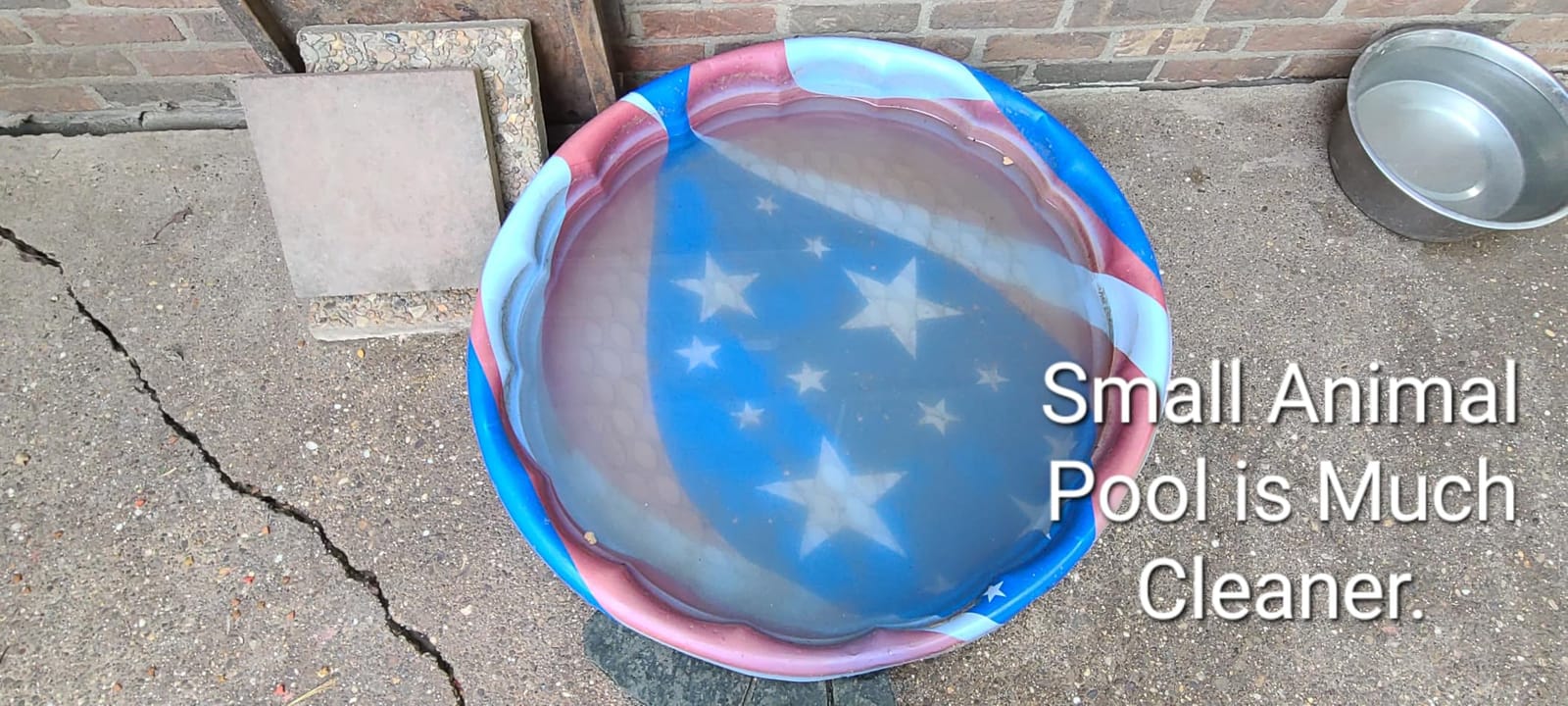 S2 Pool Vacuum Robot for Above Ground Pools, 90-Min Runtime, 861 Sq.Ft Coverage, Cordless Operation, Efficient Cleaning Performance, Dual-Layer Filtration, Panda Black customer photo 1