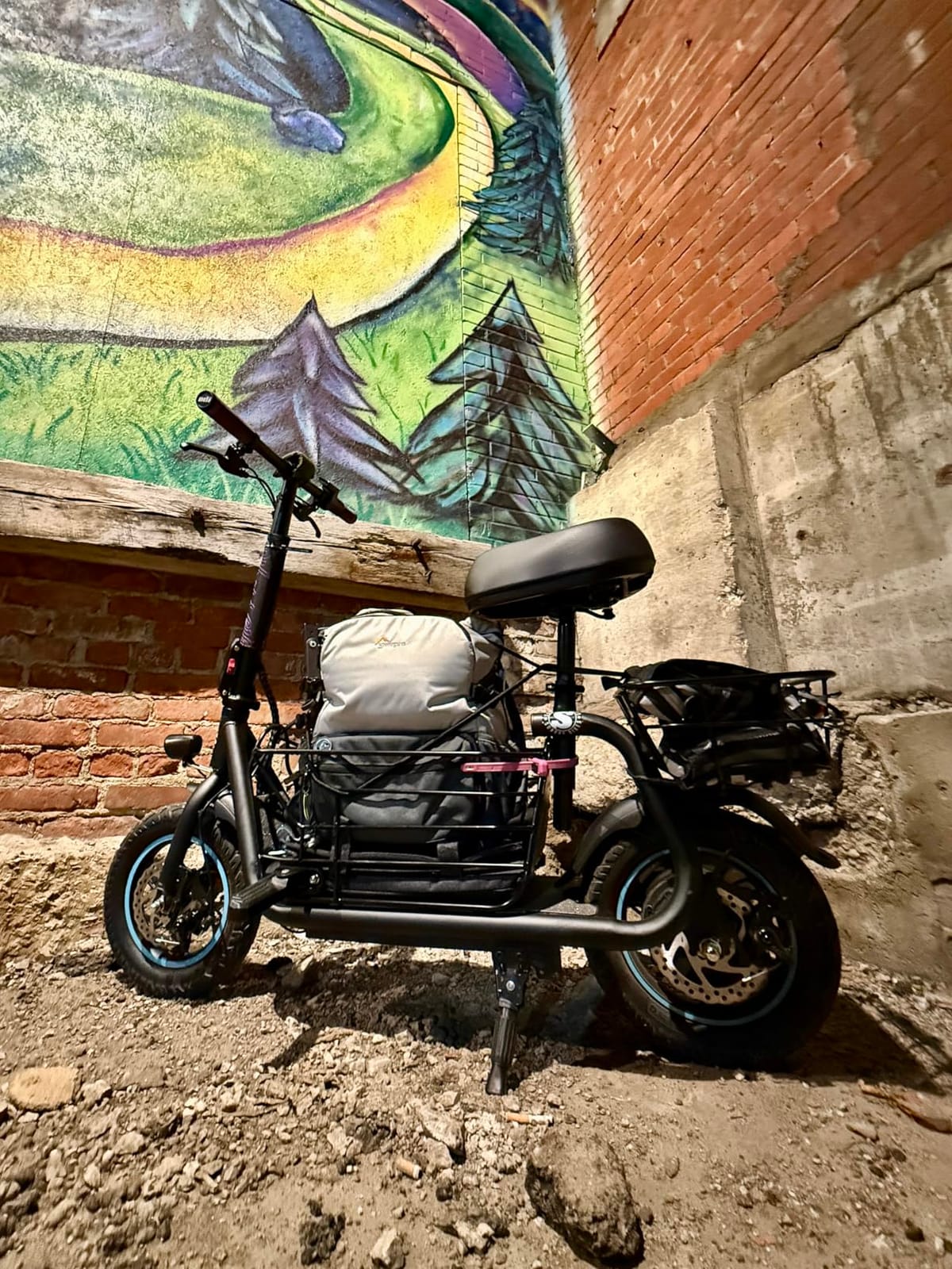 URBANMAX C1S Seated Electric Scooter,550W,18.6MPH,20 Miles,Dual Baskets customer photo 1