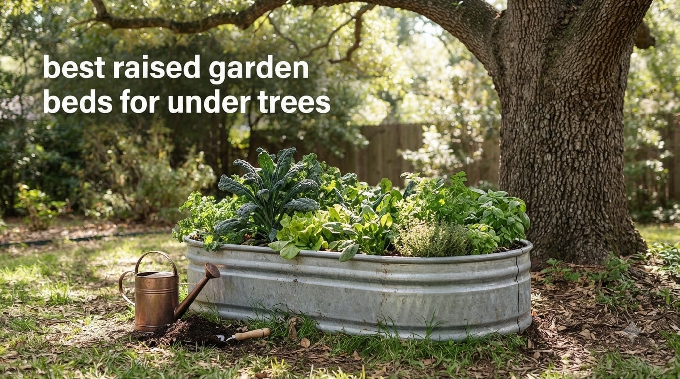 best raised garden beds for under trees