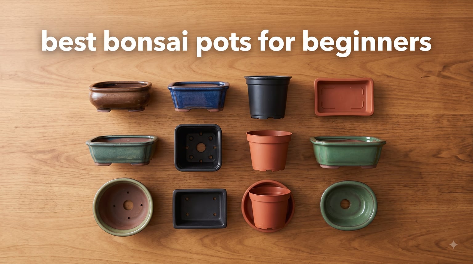 best bonsai pots for beginners