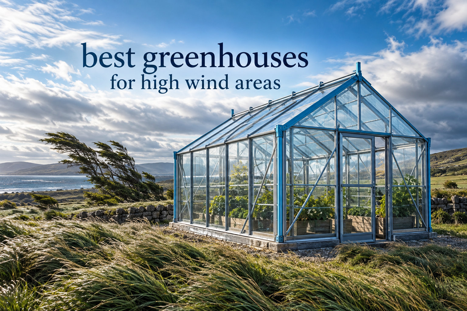 best greenhouses for high wind areas