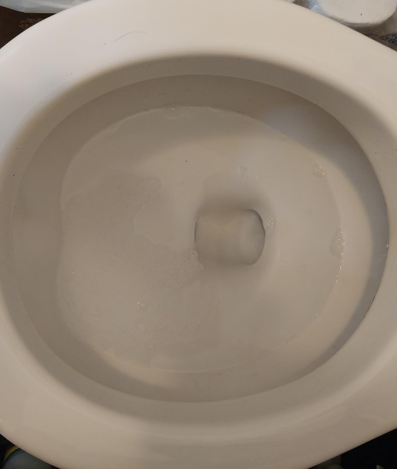 Lysol Power Clinging Gel customer photo 1