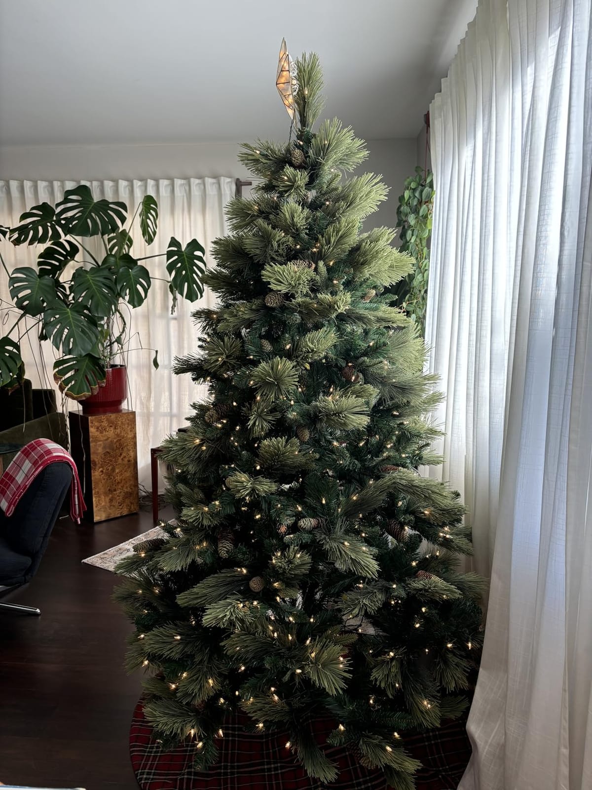 National Tree Carolina Pine customer photo 1