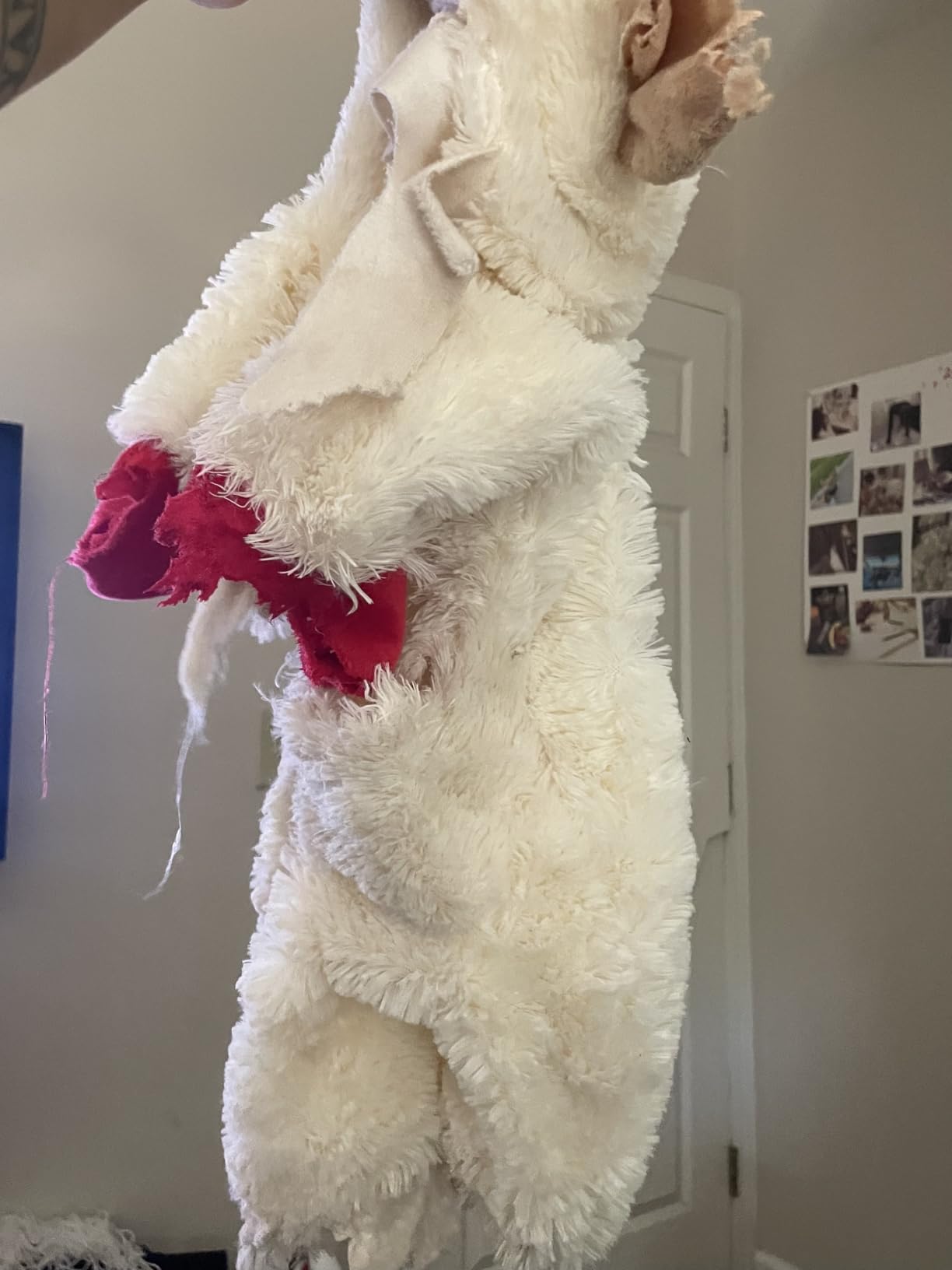 Multipet Lamb Chop Plush customer photo 1