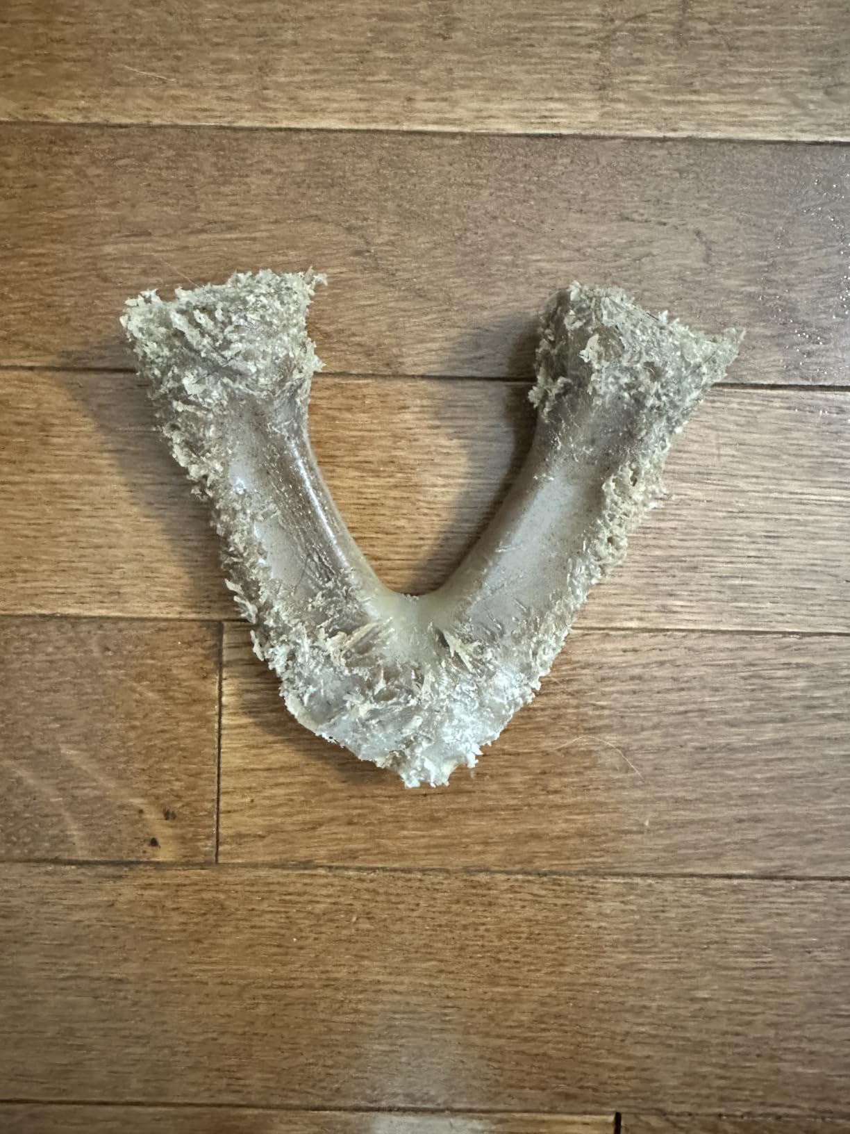 Benebone Wishbone Chew customer photo 2