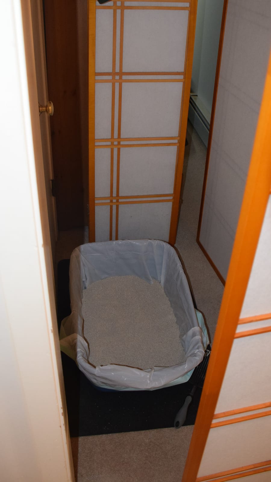 Petmate Open Litter Pan customer photo 2