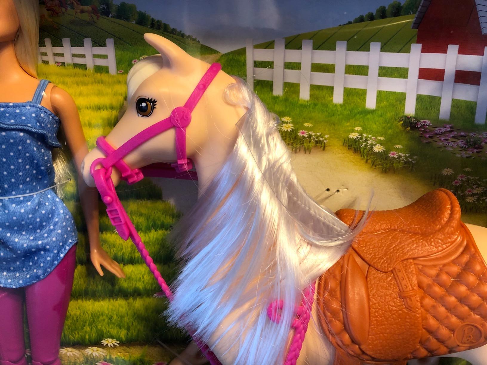 Barbie Horse and Rider Set customer photo 1