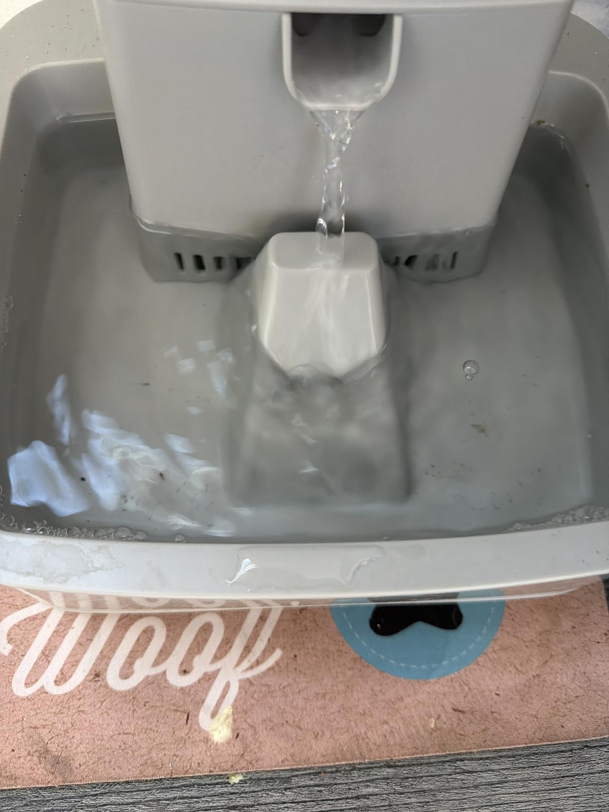 PetSafe Oasys Fountain customer photo 2