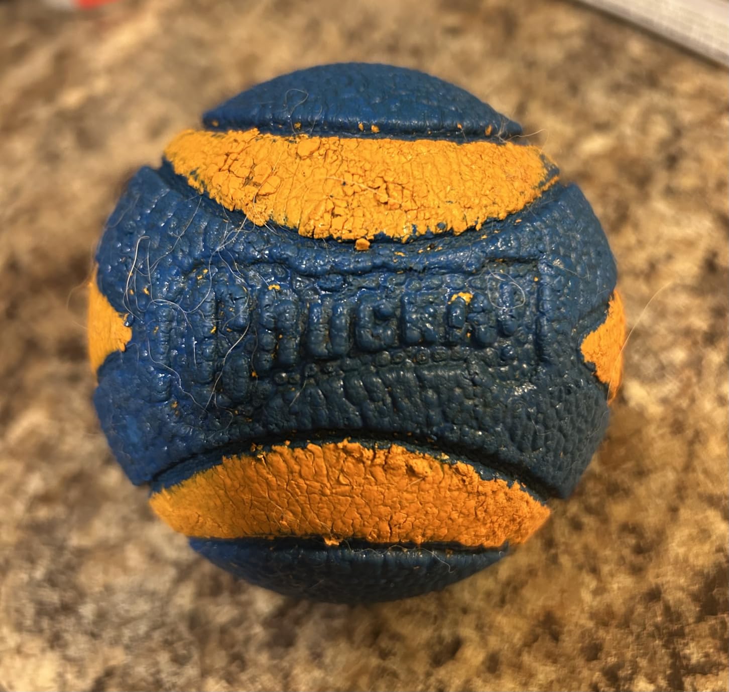Chuckit! Fetch Stick customer photo 1