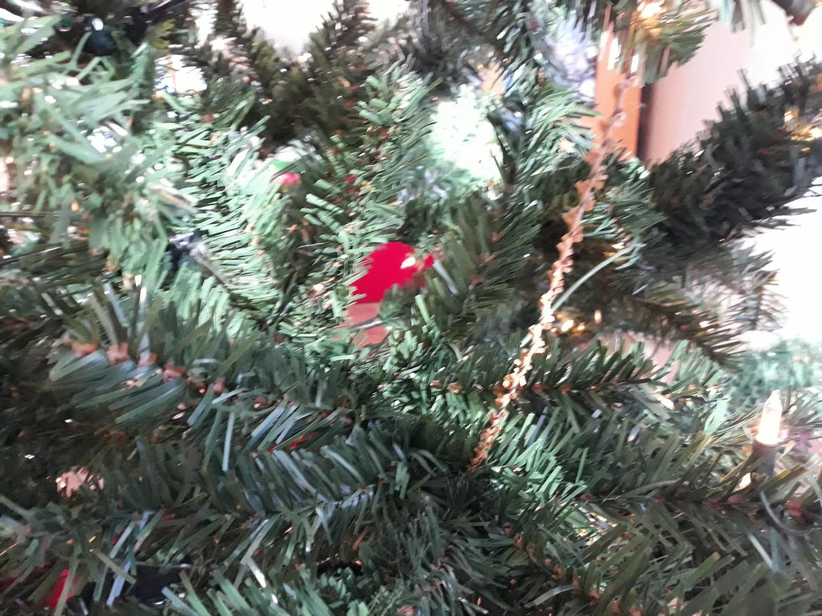 Best Choice Twinkle Spruce customer photo 1