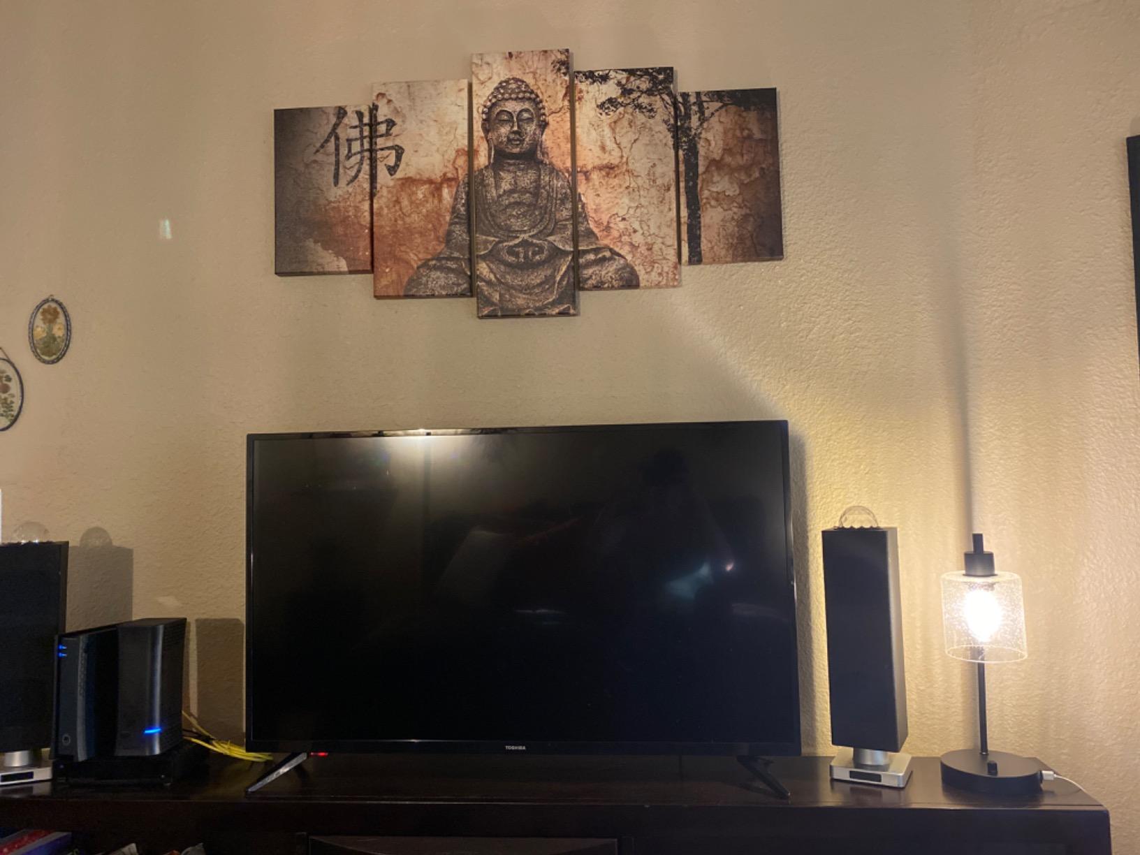 LG UN7300 55-Inch customer photo 2