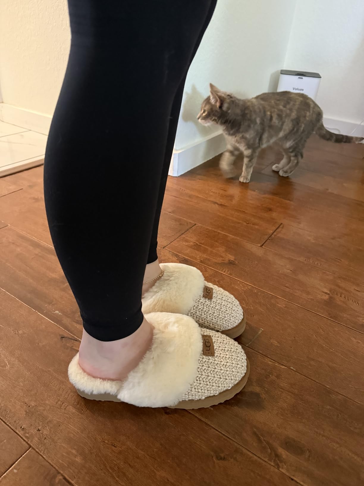 UGG Cozy Slipper customer photo 2