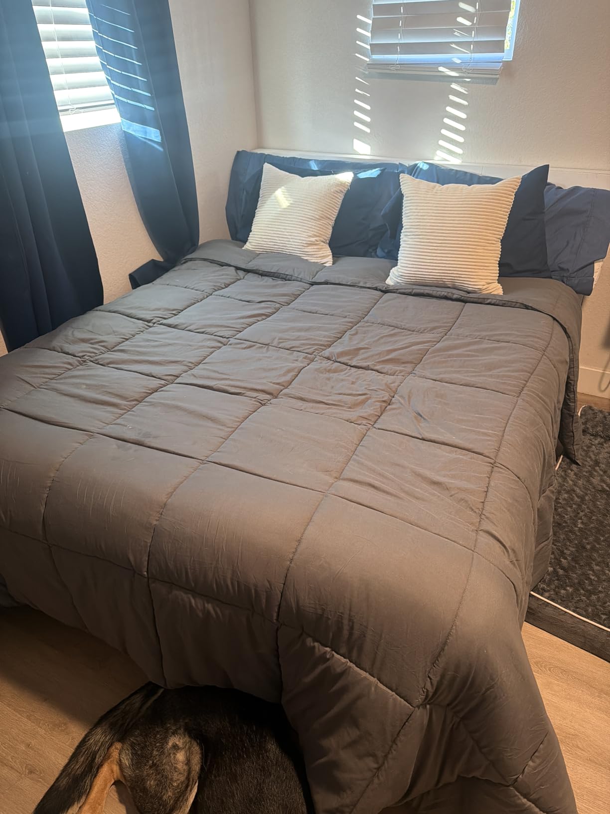 TEXARTIST White Queen Comforter, All Season Down Alternative Duvet Insert customer photo 1