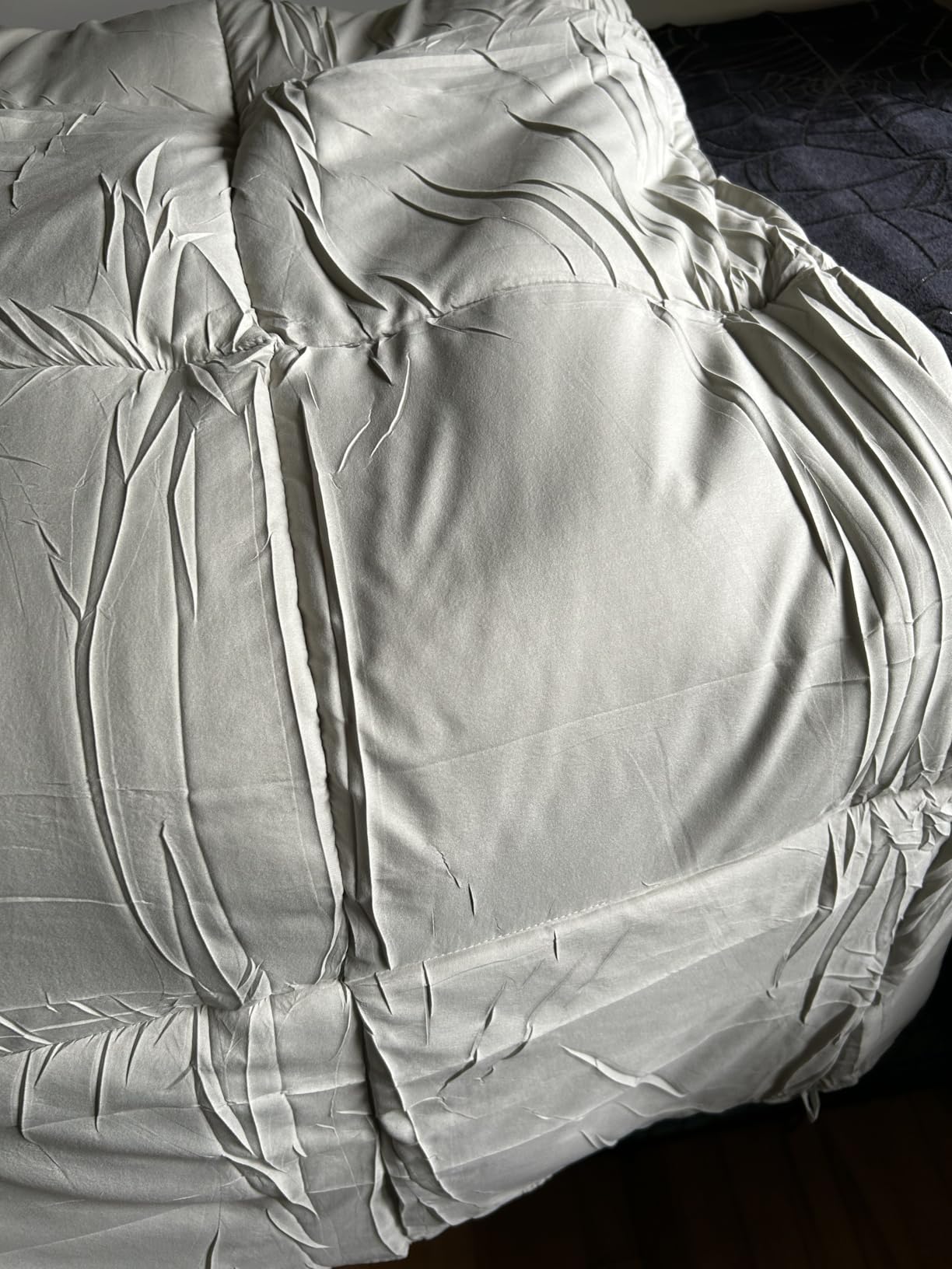 TEXARTIST White Queen Comforter, All Season Down Alternative Duvet Insert customer photo 2