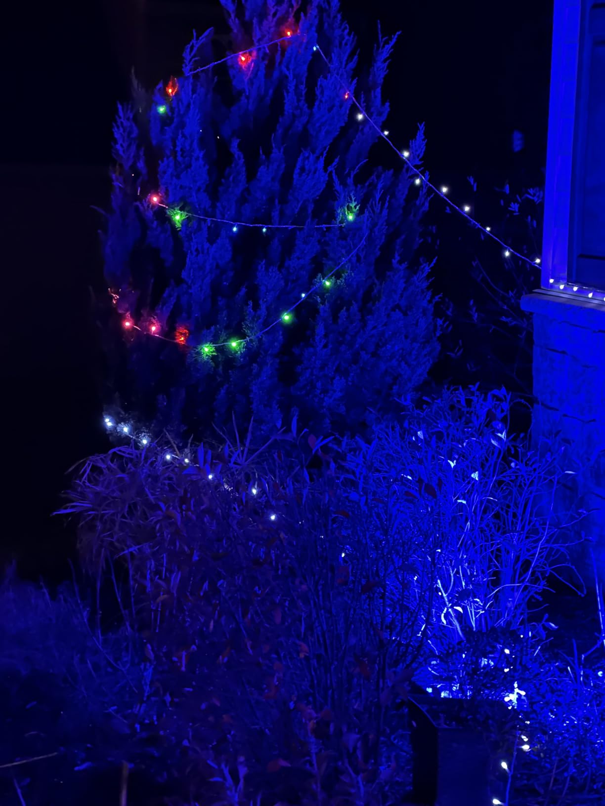 JMEXSUSS 168Ft 600 LED Halloween Lights Outdoor Orange String Lights Plug customer photo 1
