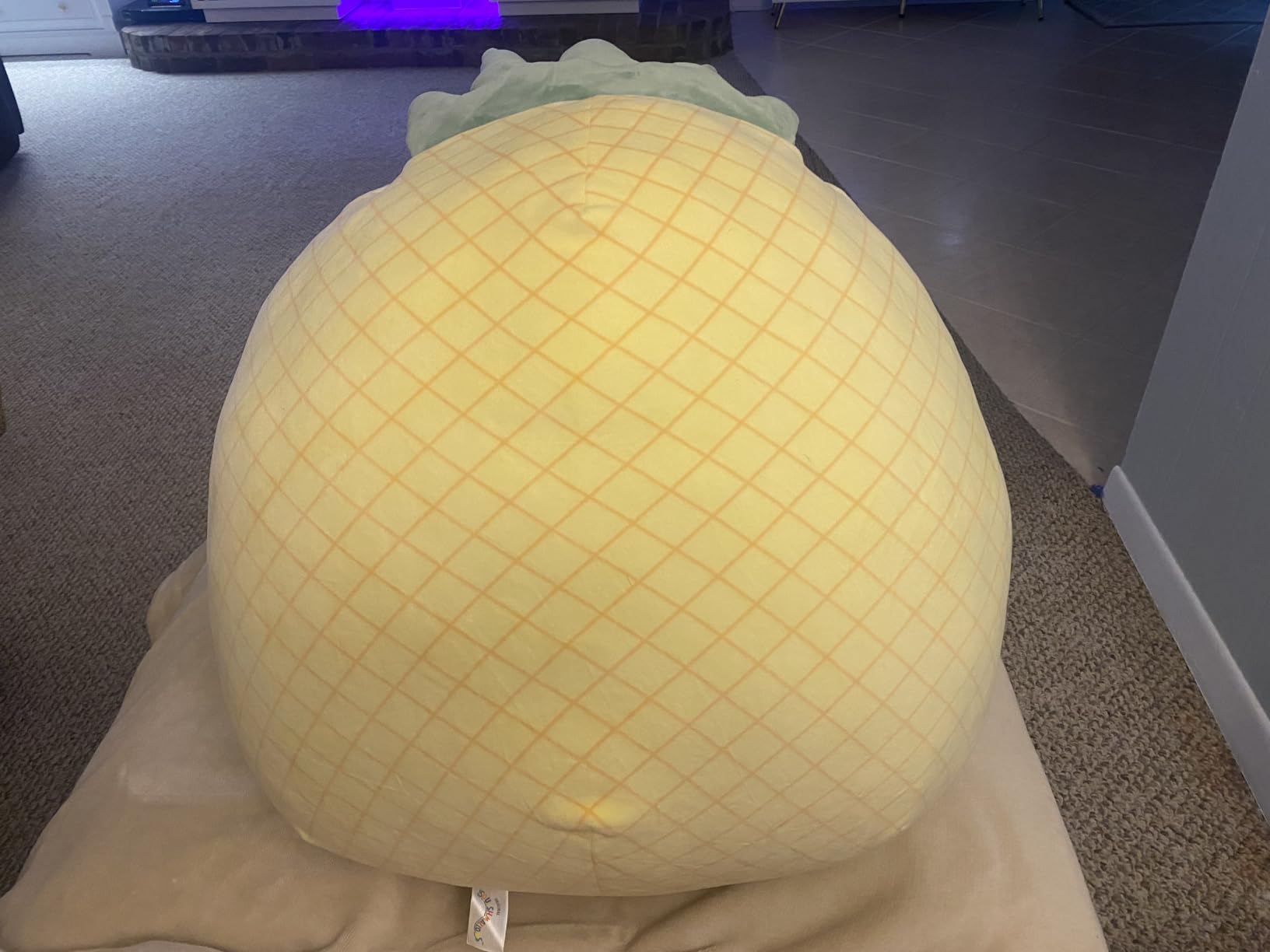 Maui 20-Inch Pineapple customer photo 2