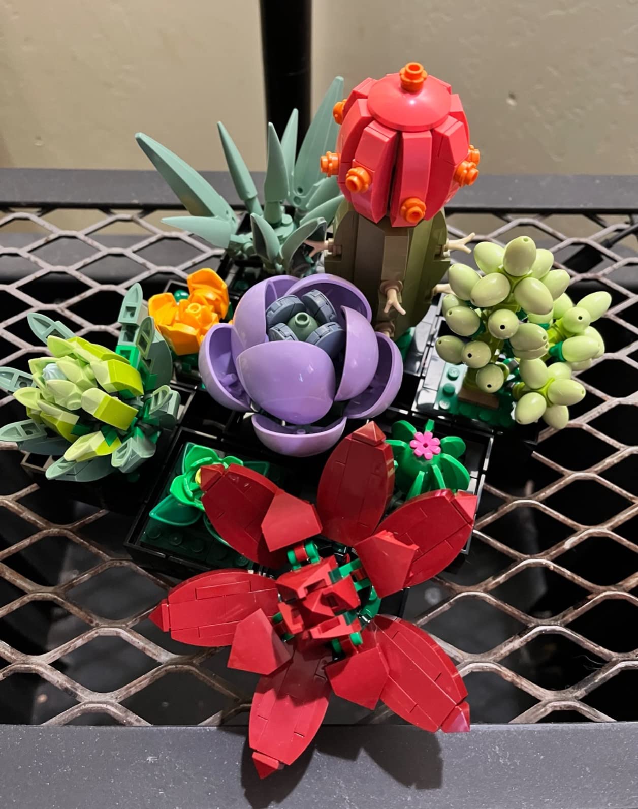 LEGO Succulents customer photo 1