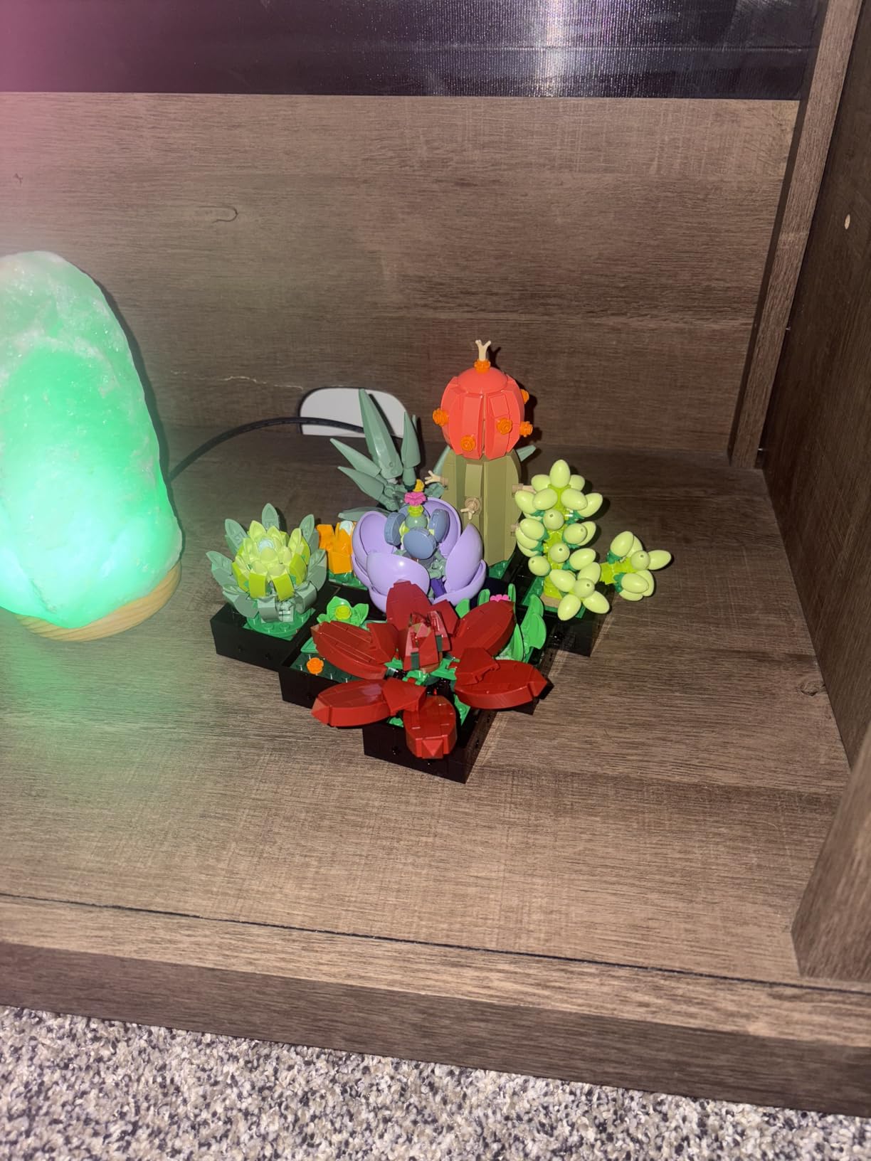 LEGO Succulents customer photo 2