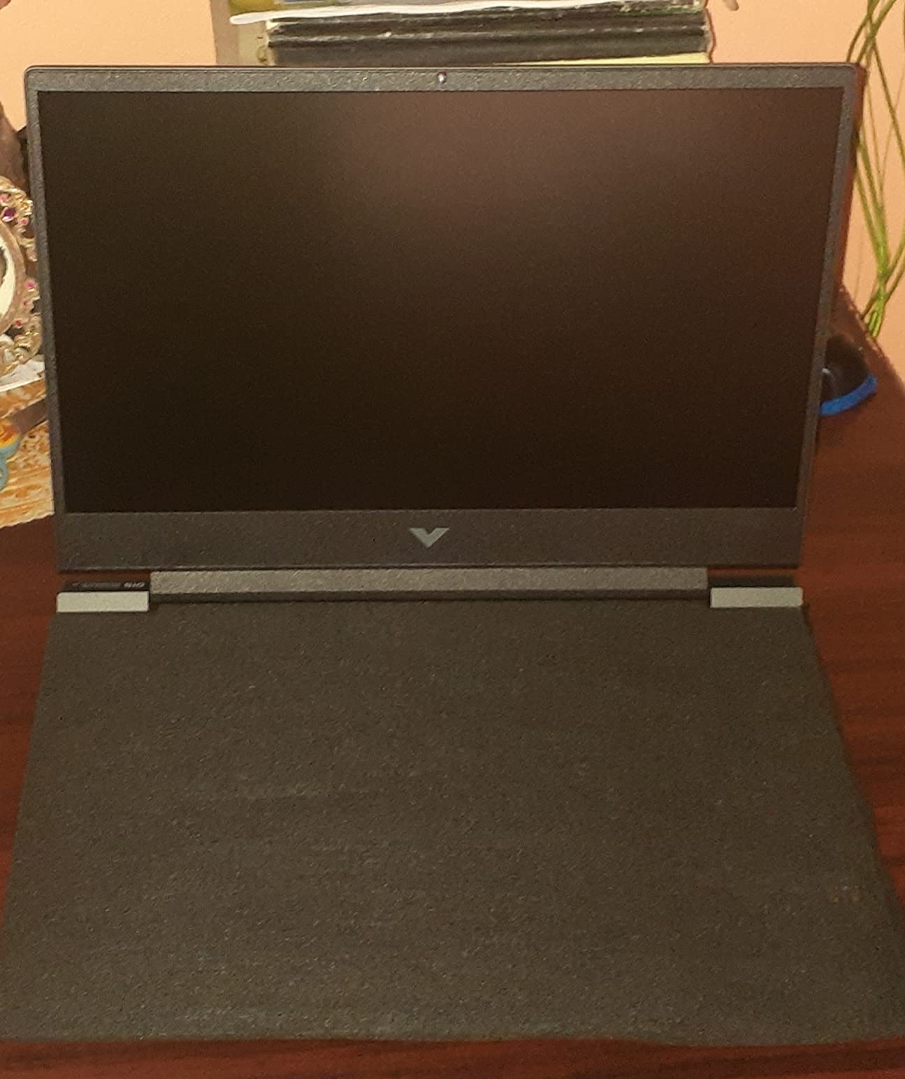 HP Victus 15 8GB customer photo 2